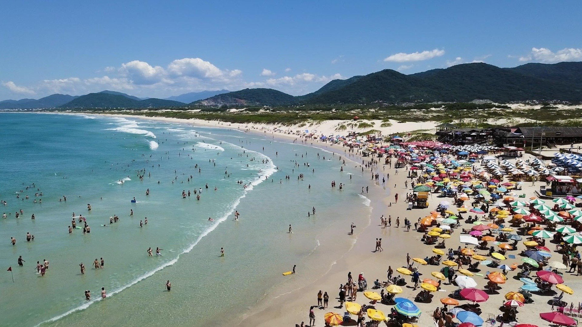 Crowd Selvagem : Joaquina
