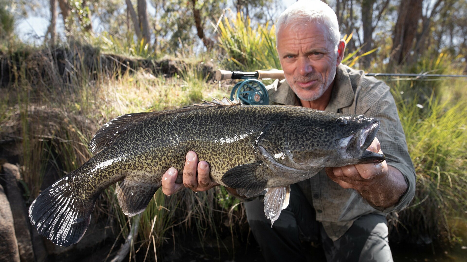 Jeremy Wade - Águas Misteriosas : O Gigante Australiano