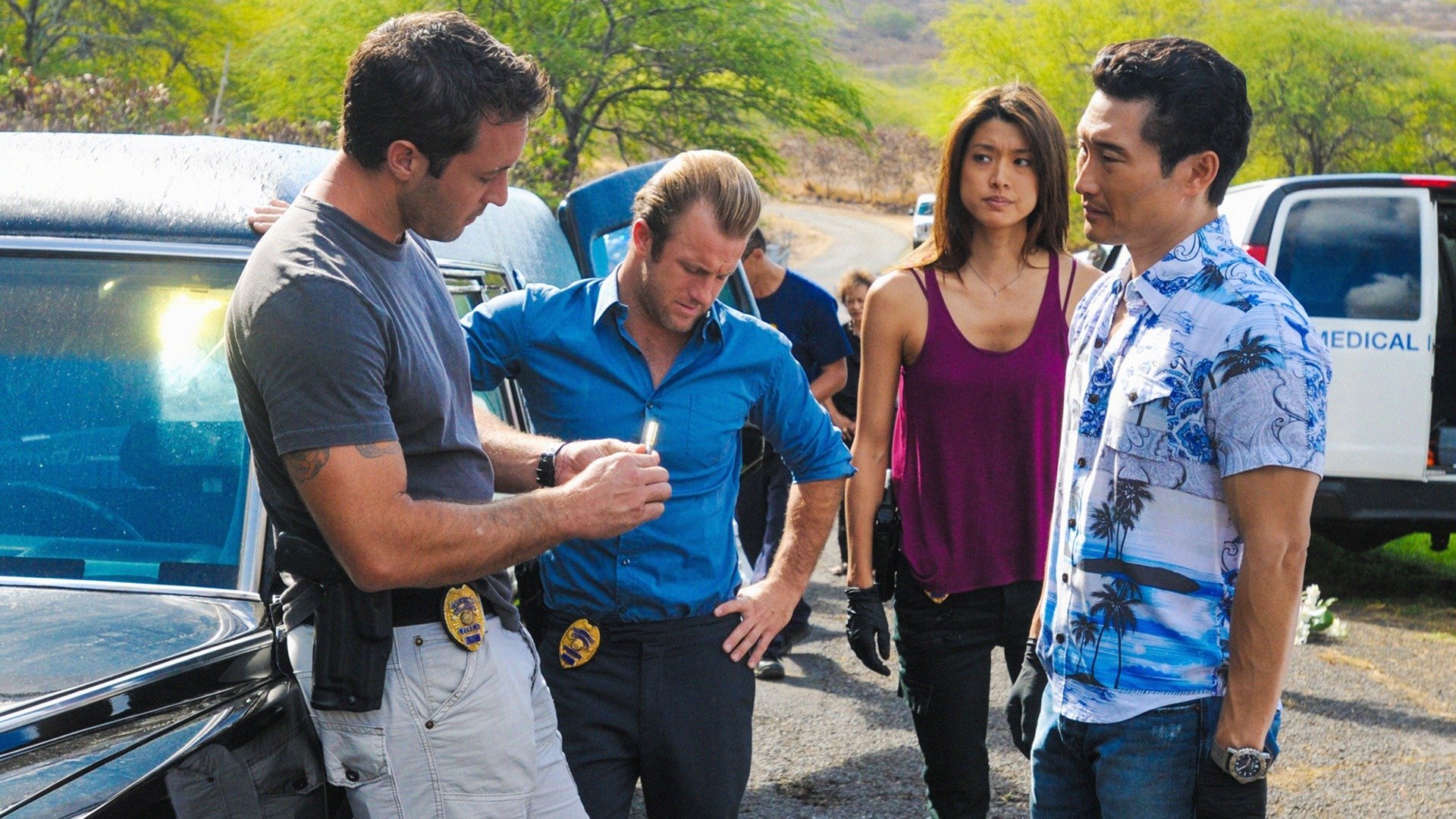 Hawaii Five-0 : Hookman