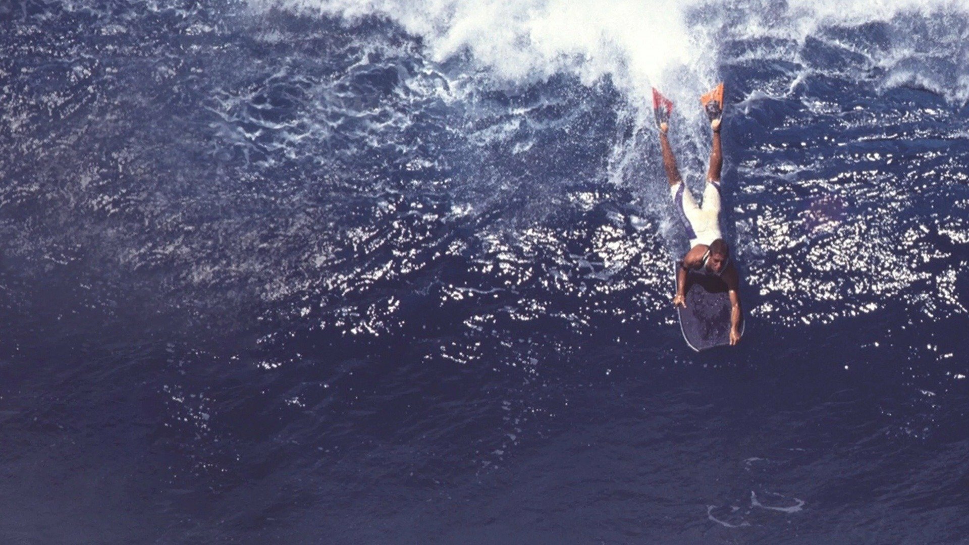 50 Anos de Bodyboard