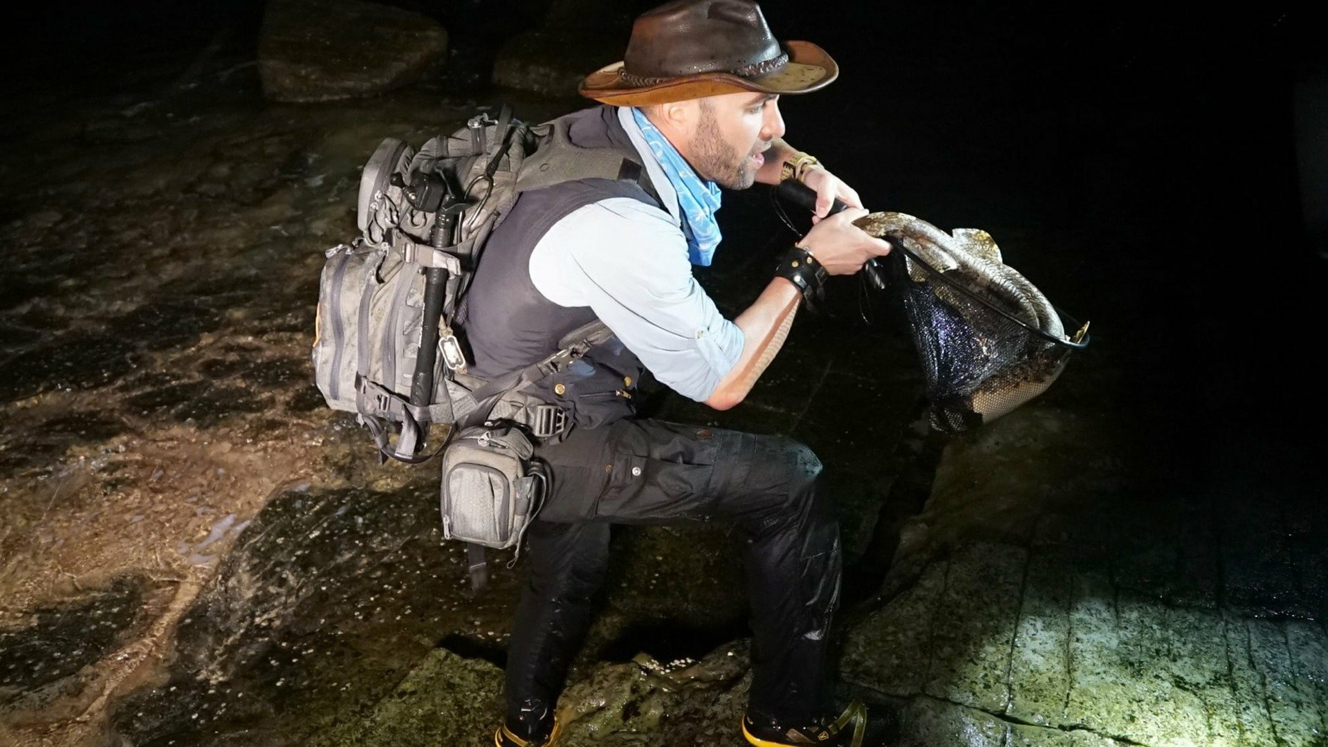 Encontro Selvagem com Coyote Peterson : Tubarões do Escuro
