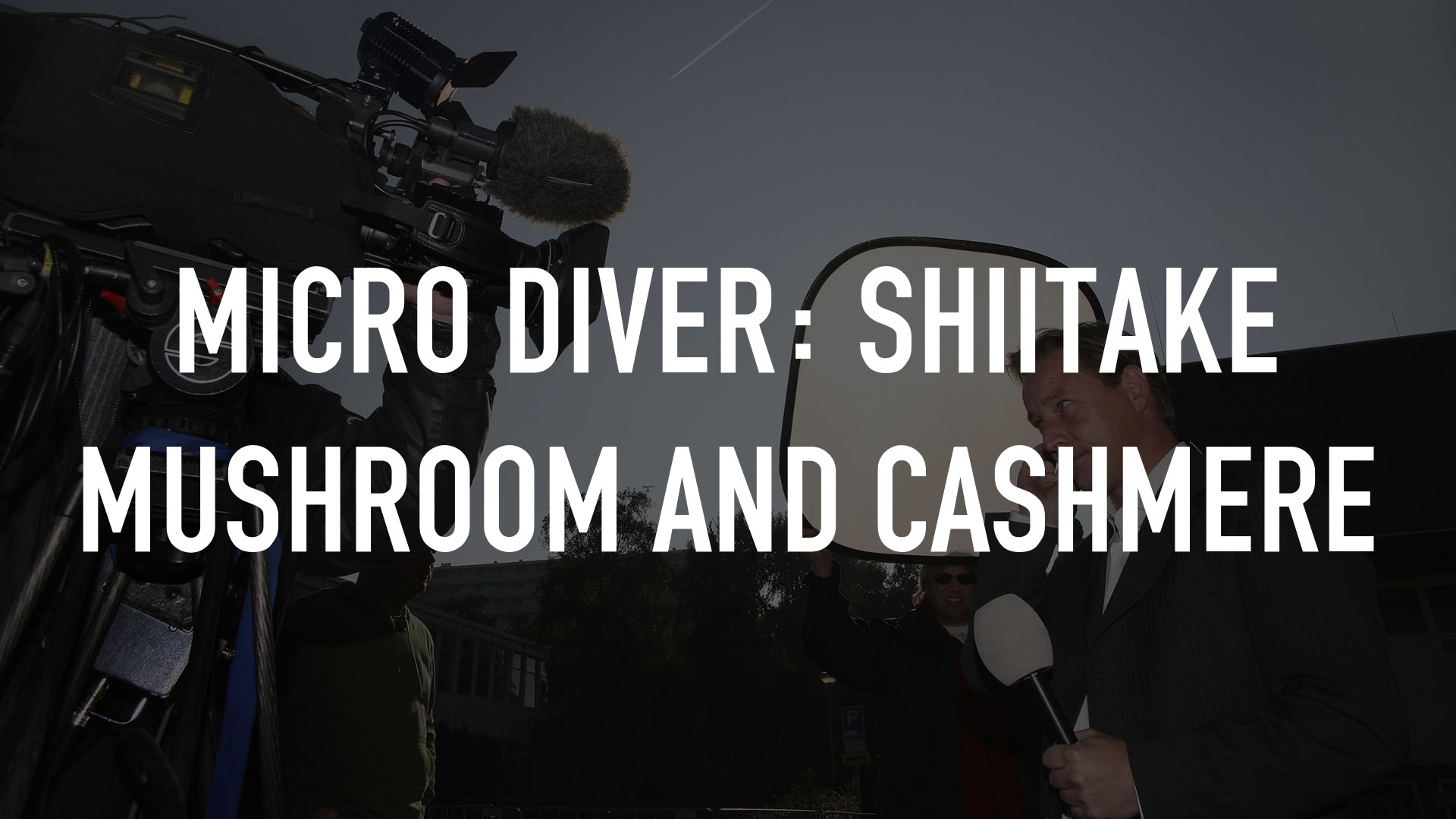 Micro Diver: Shiitake Mushroom and Cashmere