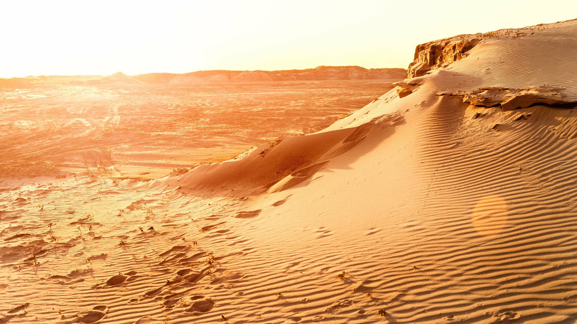 Rally Dakar