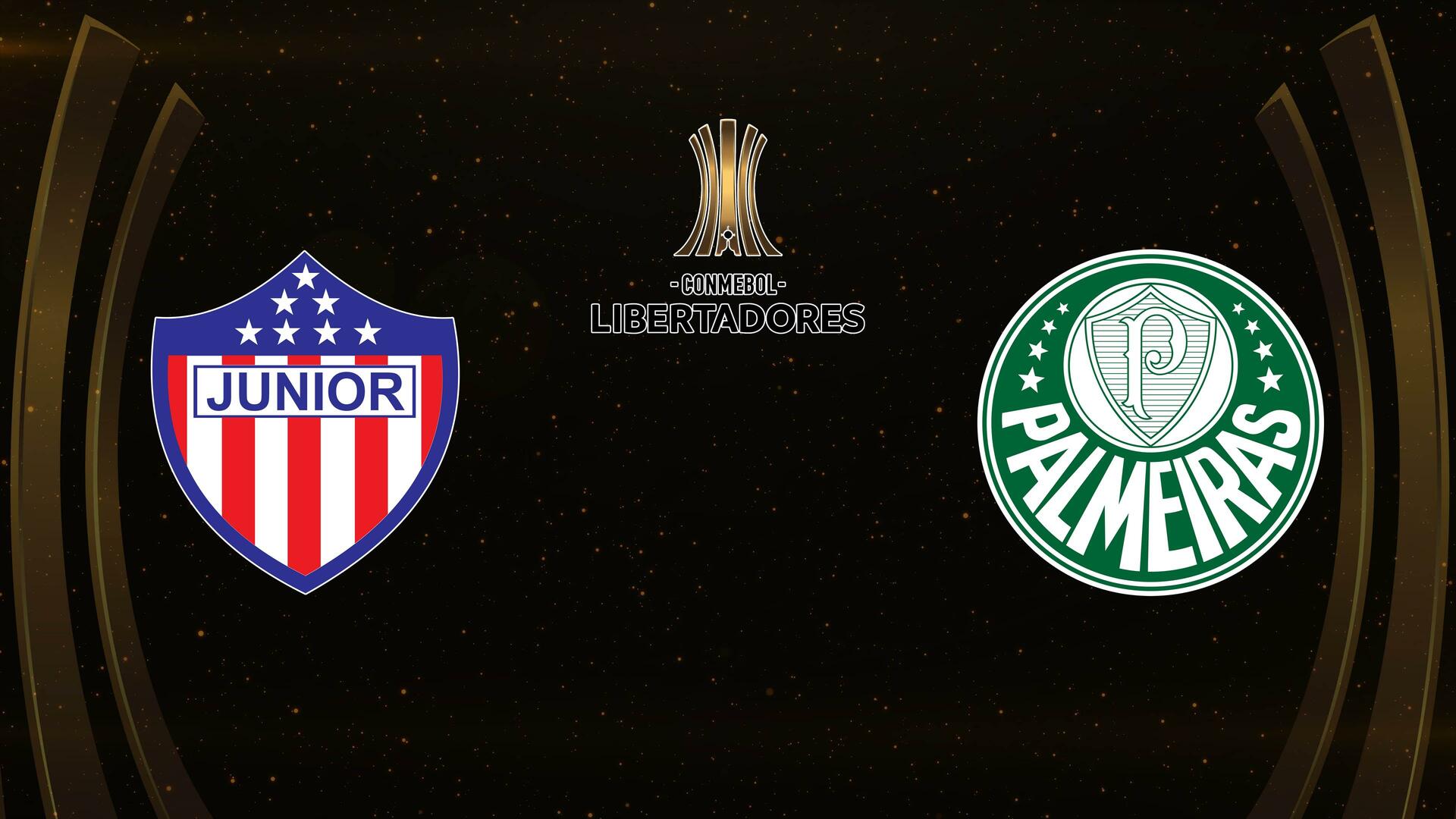 Junior de Barranquilla x Palmeiras - Copa Libertadores da América : Junior de Barranquilla x Palmeiras