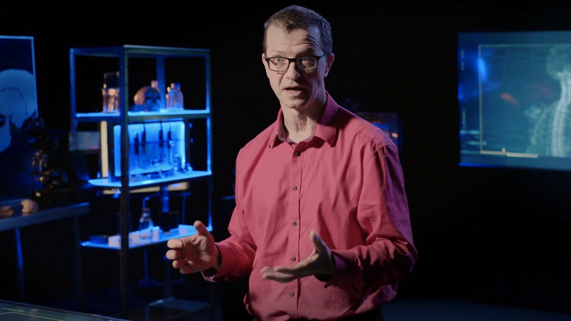 Desvendando o Passado : Segredos dos Assassinatos Maia