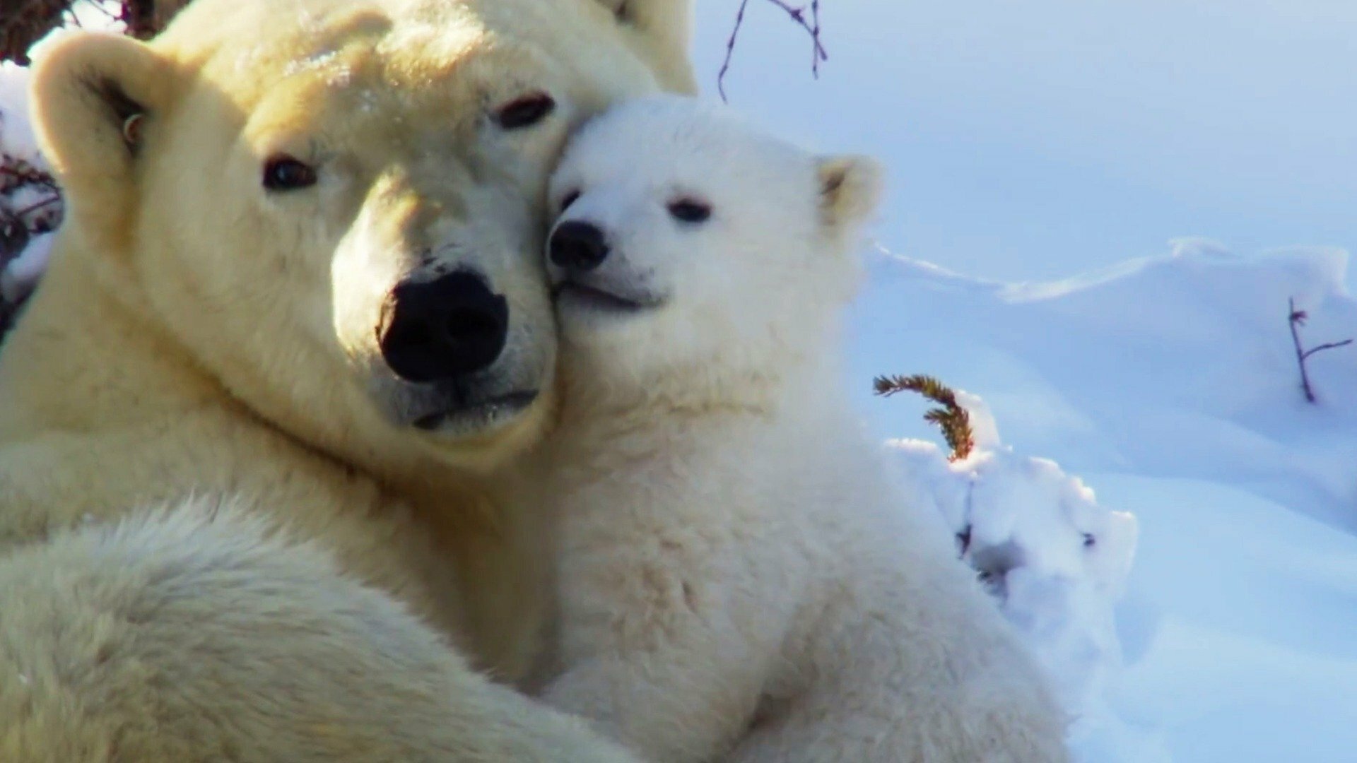 América do Norte : Sem Saída