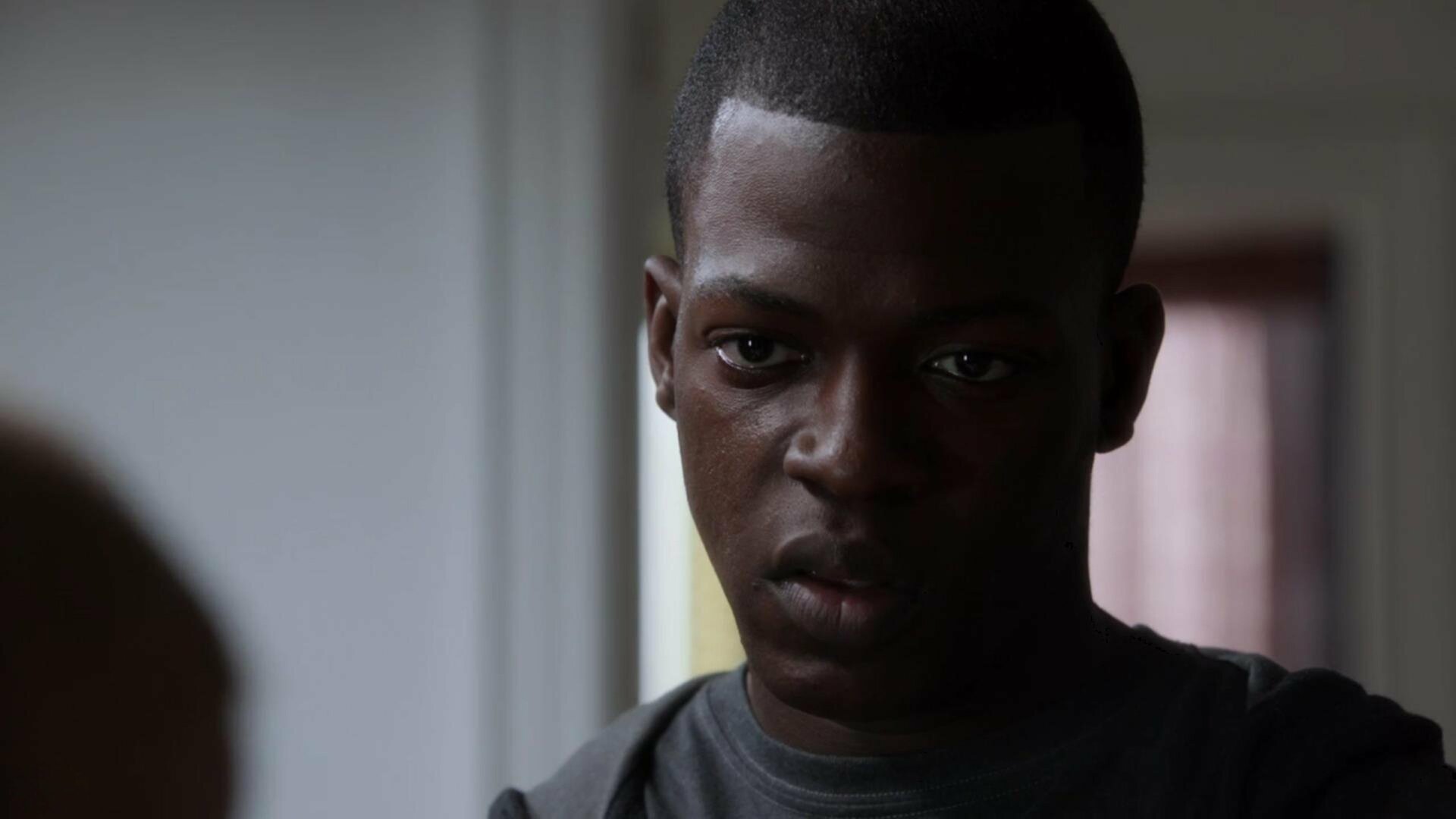 Law & Order: Special Victims Unit : Idealistas