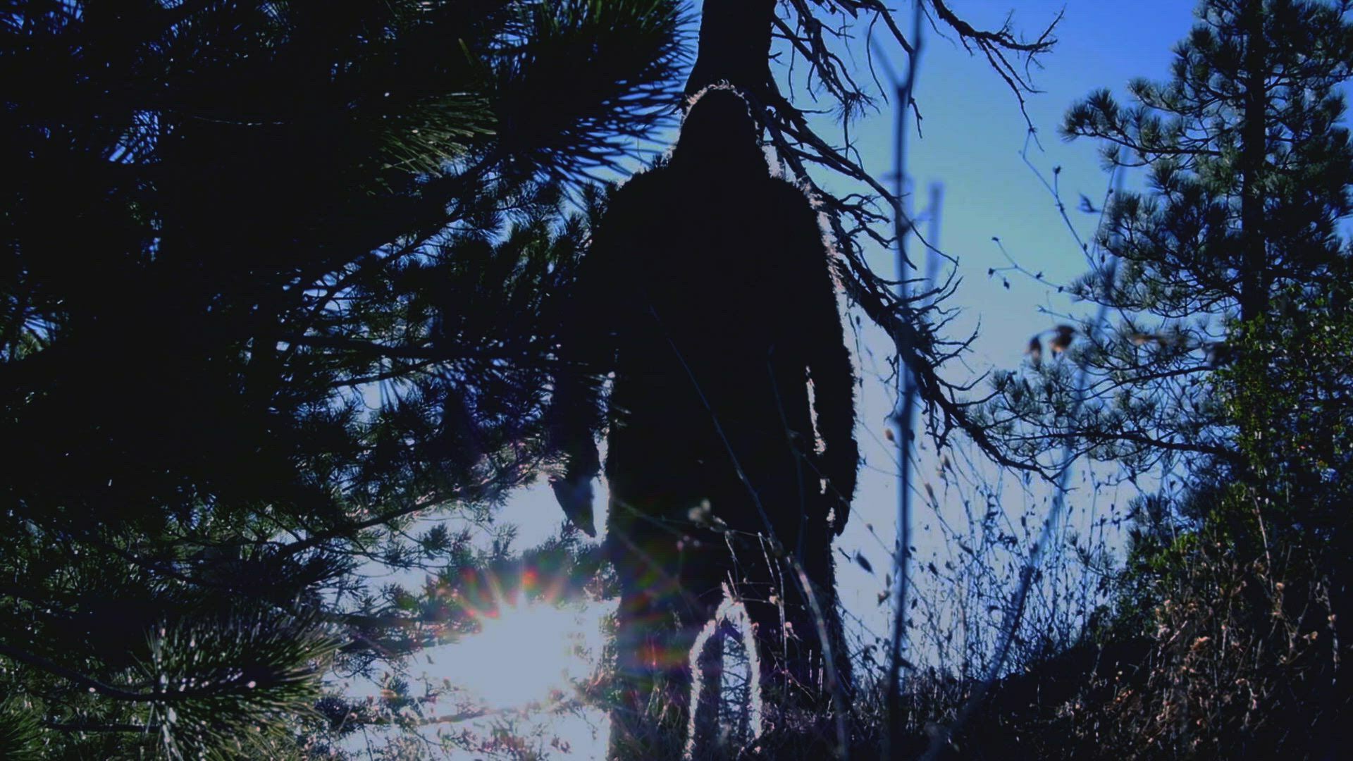 Alienígenas do Passado : Top 10 Criaturas Extraordinárias