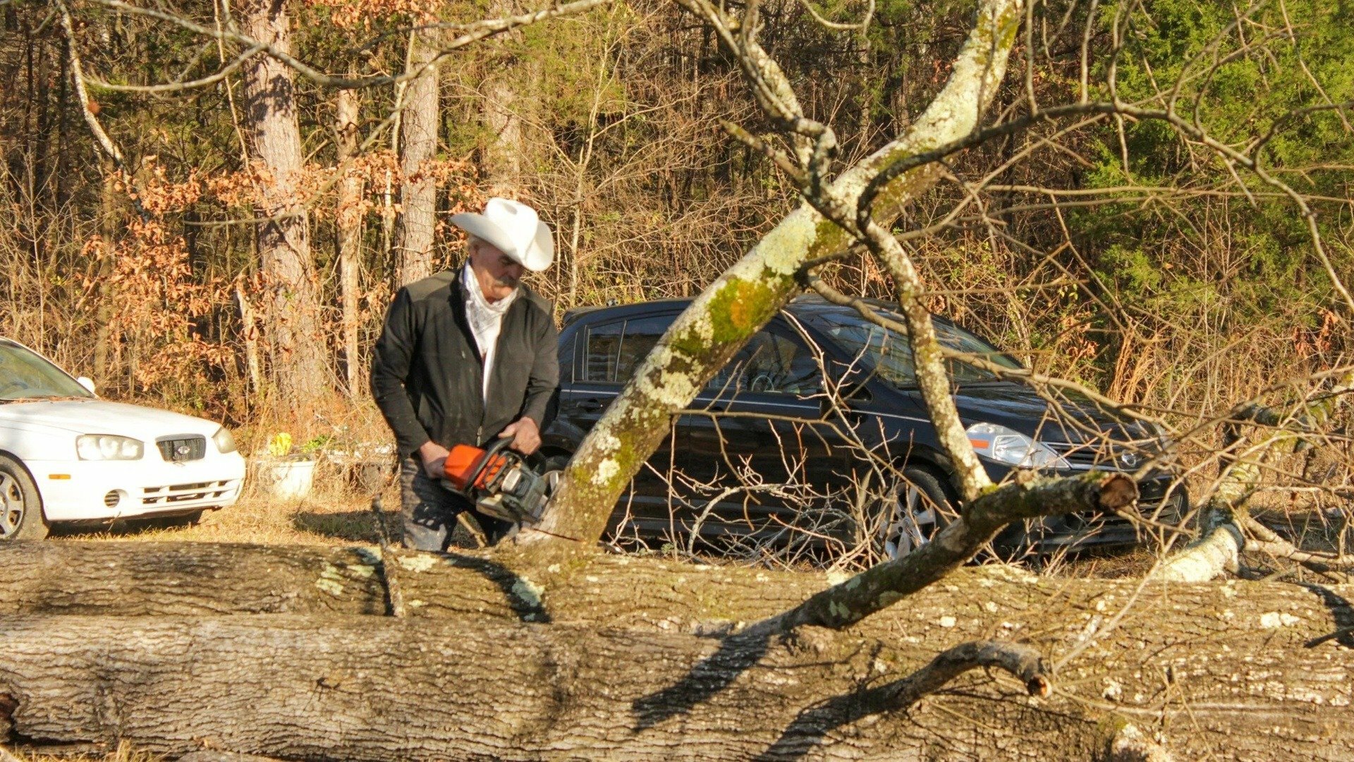 Vida Remota : Caos no Mississippi