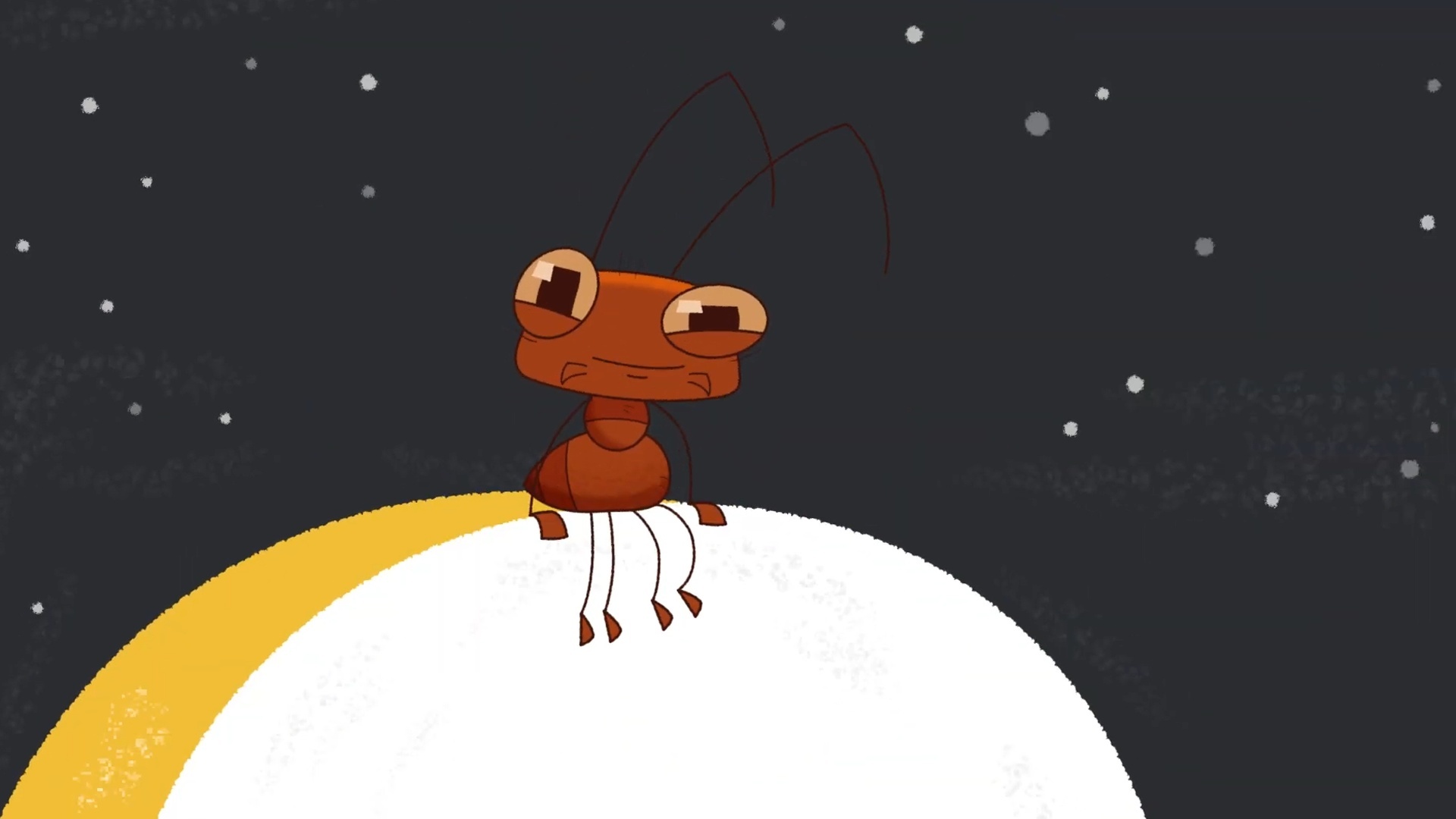 Esse É o Bicho! : Lagartixa