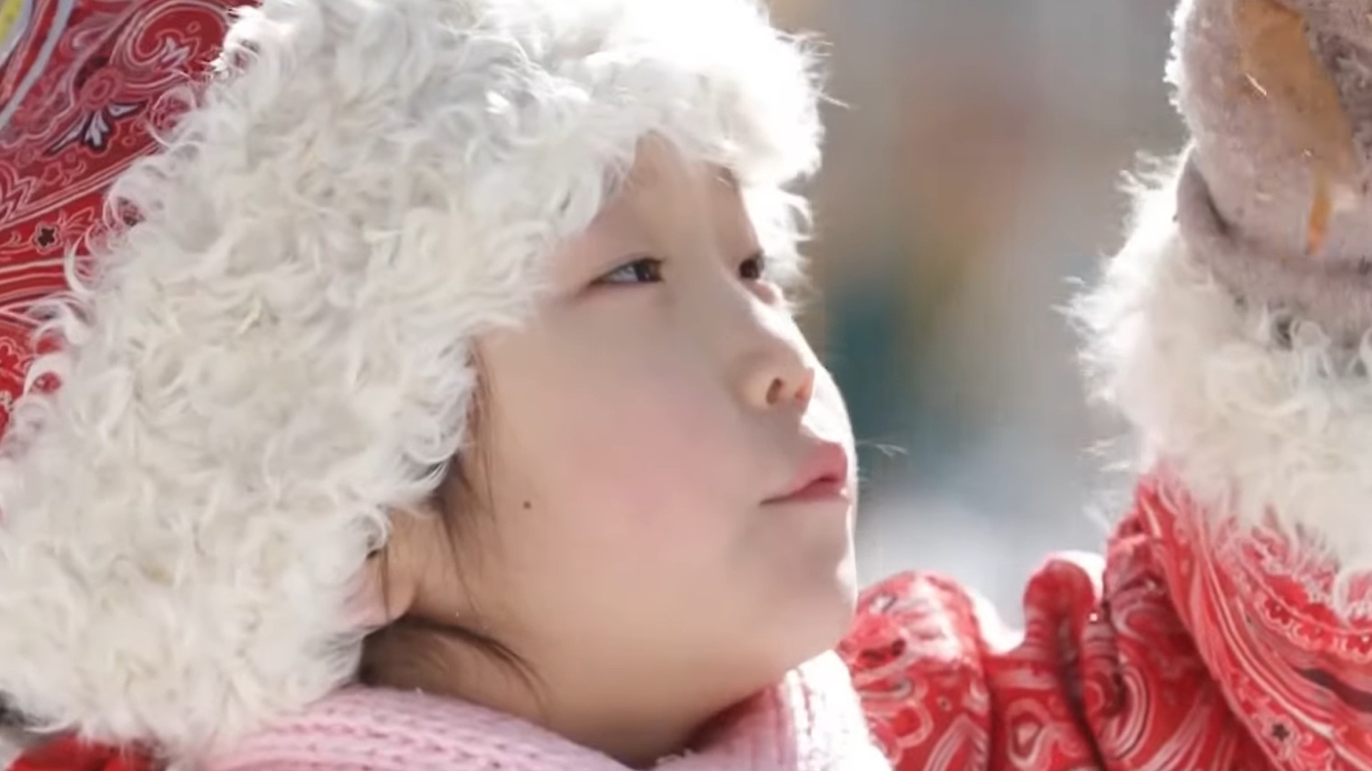 Weme e a Natureza : Árvores