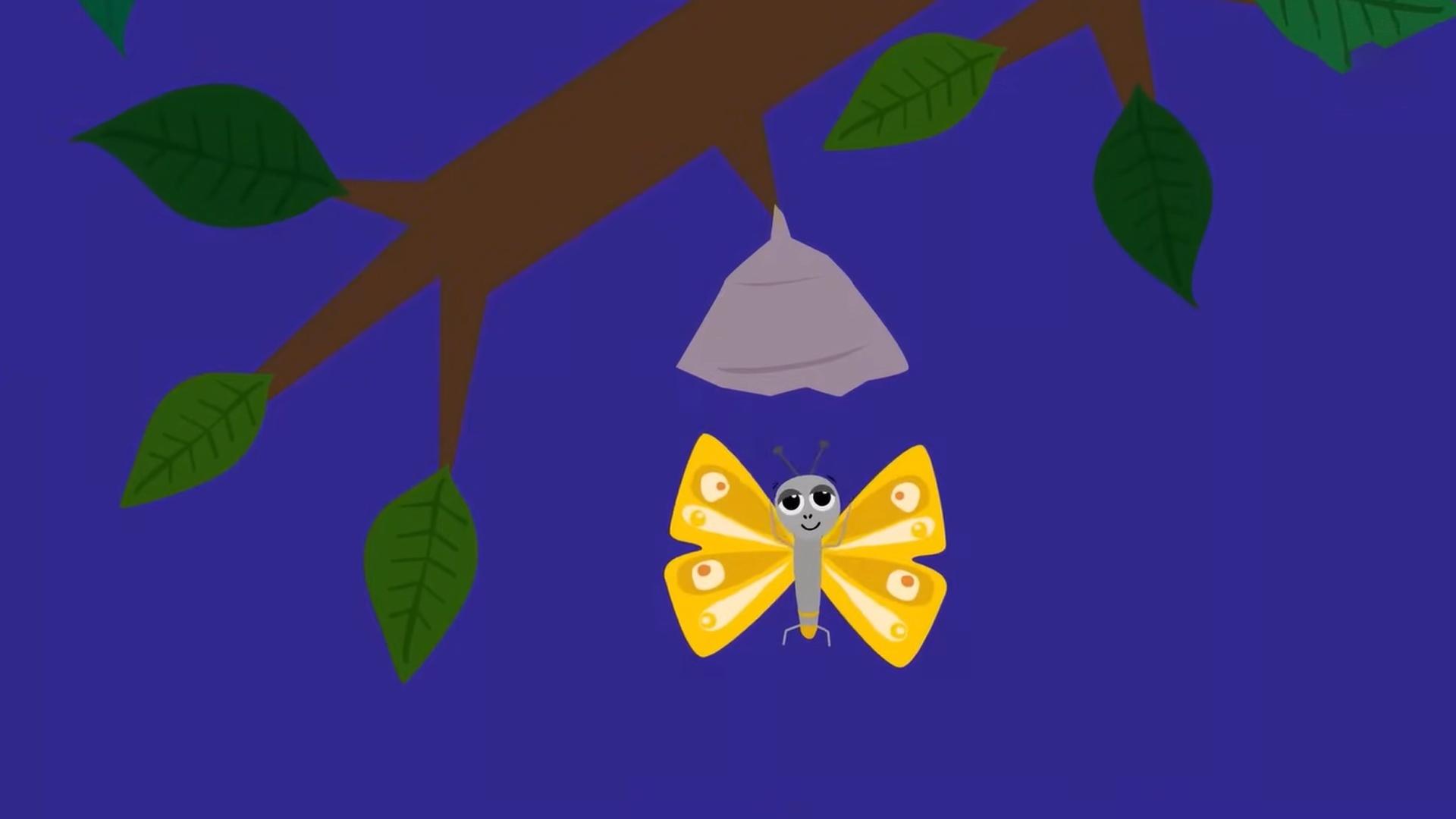 Mabô e Fifi : Borboleta Pequenina