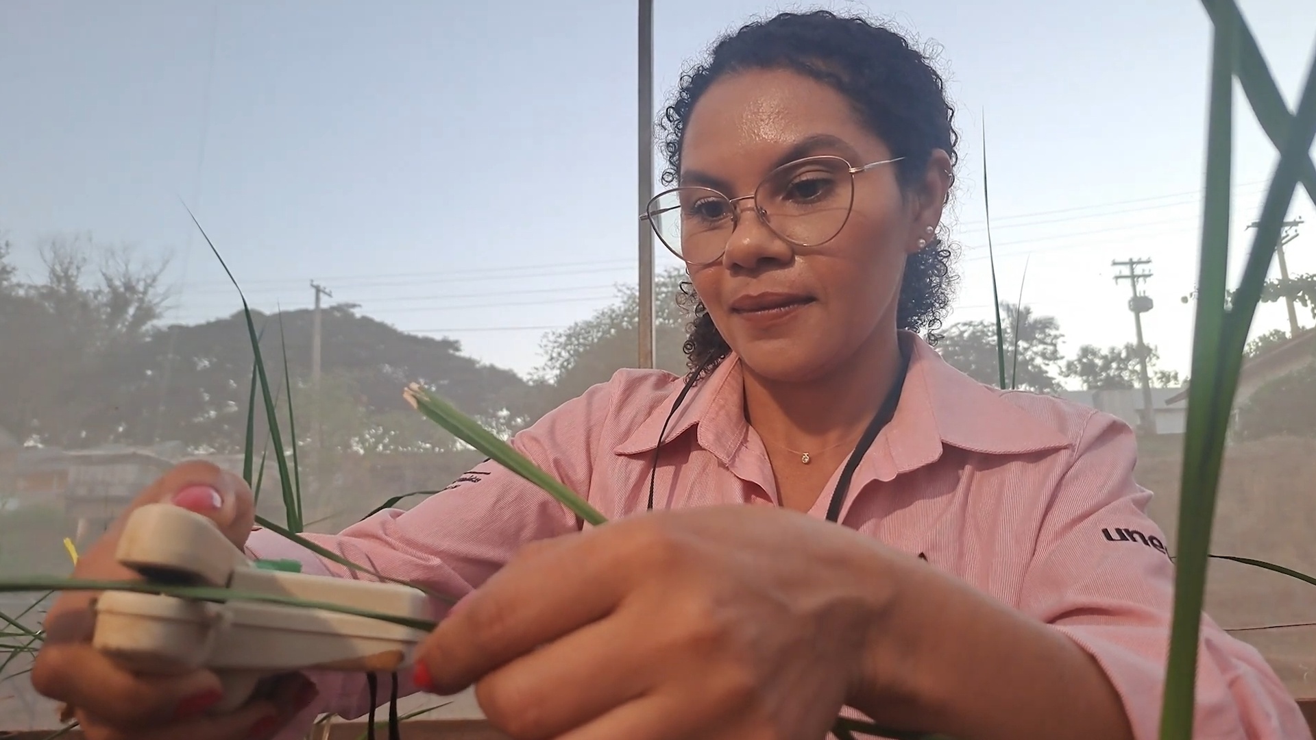 Ciência sem Limites : Melhoria no Manejo de Grandes Culturas