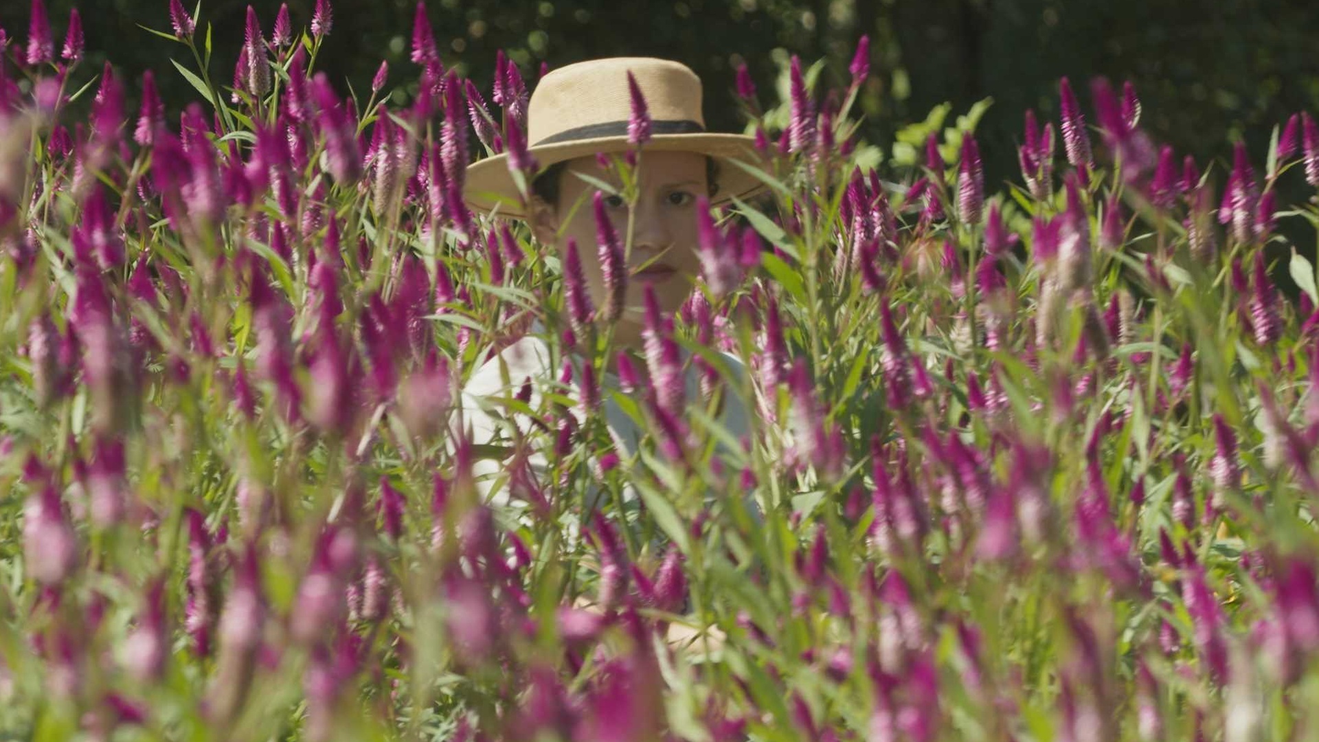 Fluxo Azul : Flores que Salvam Águas
