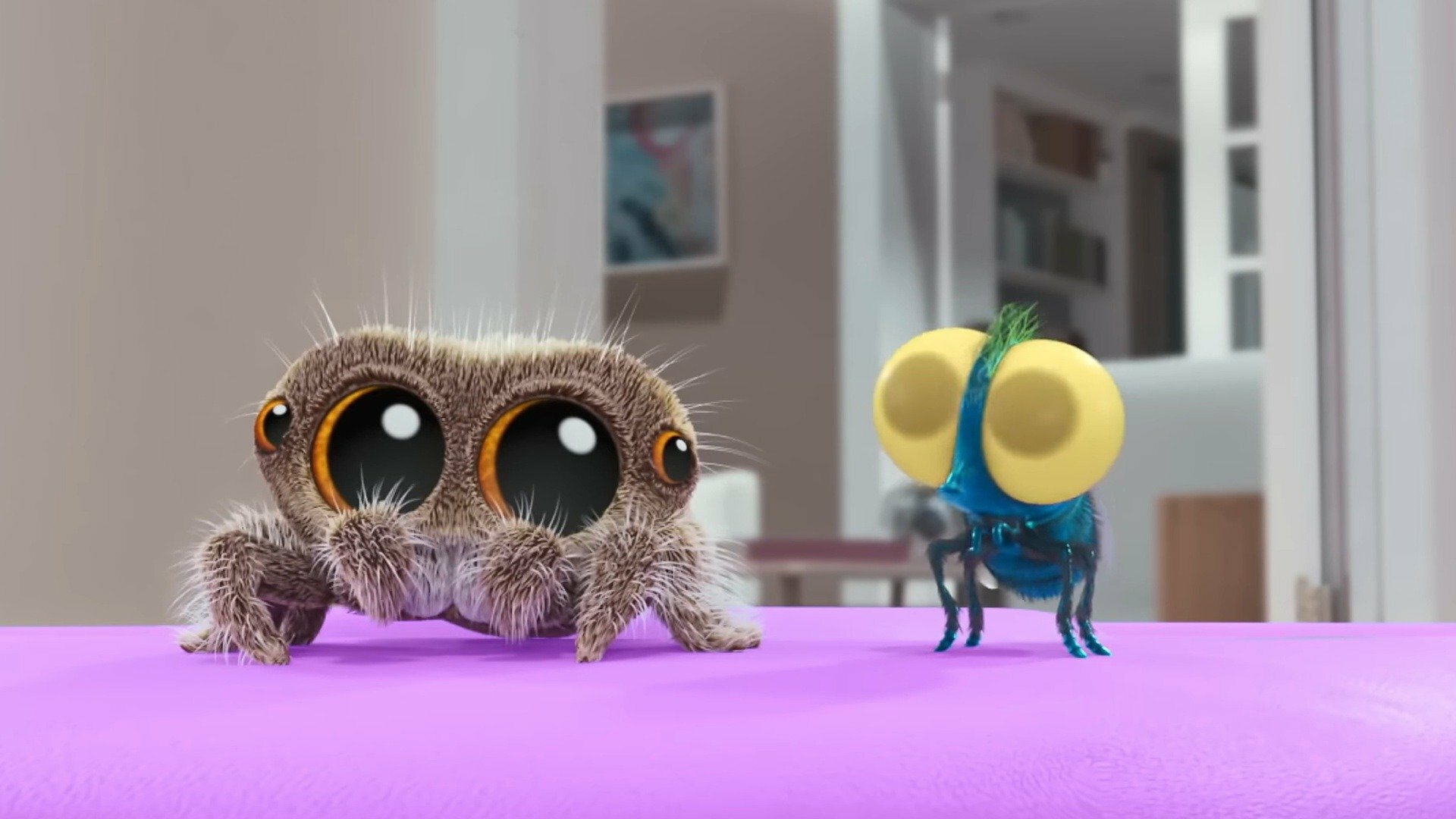Lucas, a Aranha : Cuidando da Casa