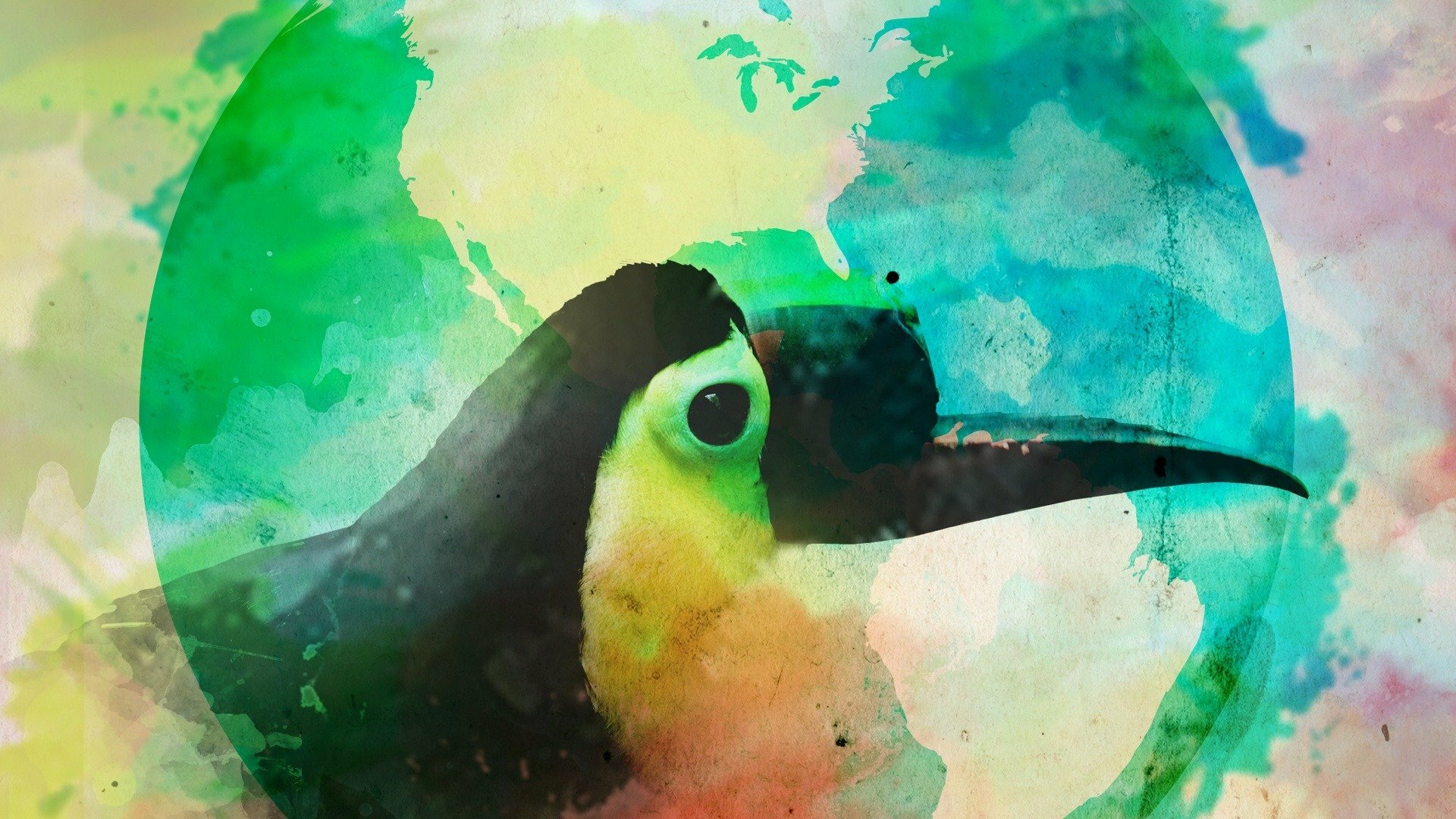 Vítima do Homem - O Tucano sem Bico