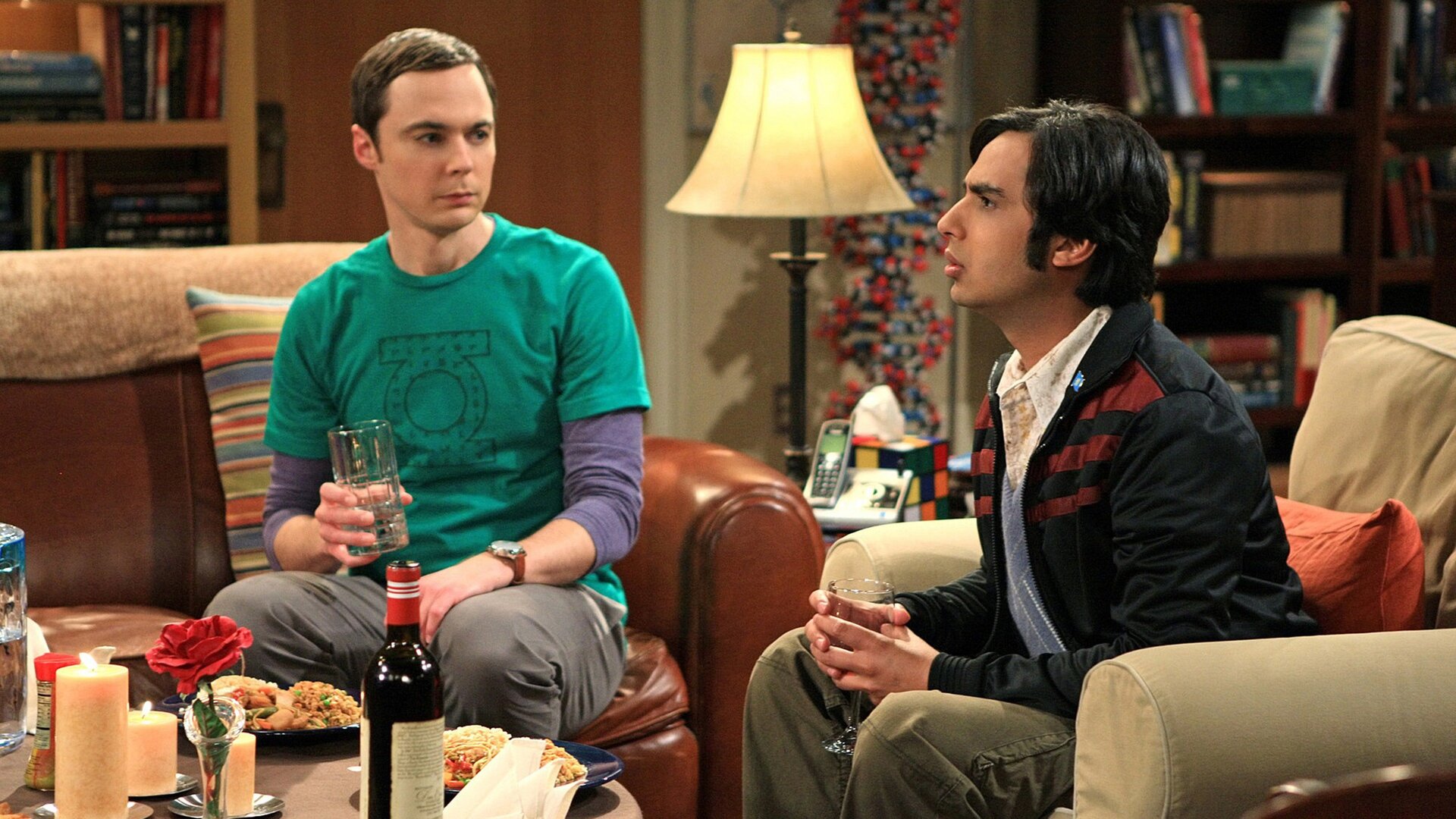 The Big Bang Theory : The Roommate Transmogrification