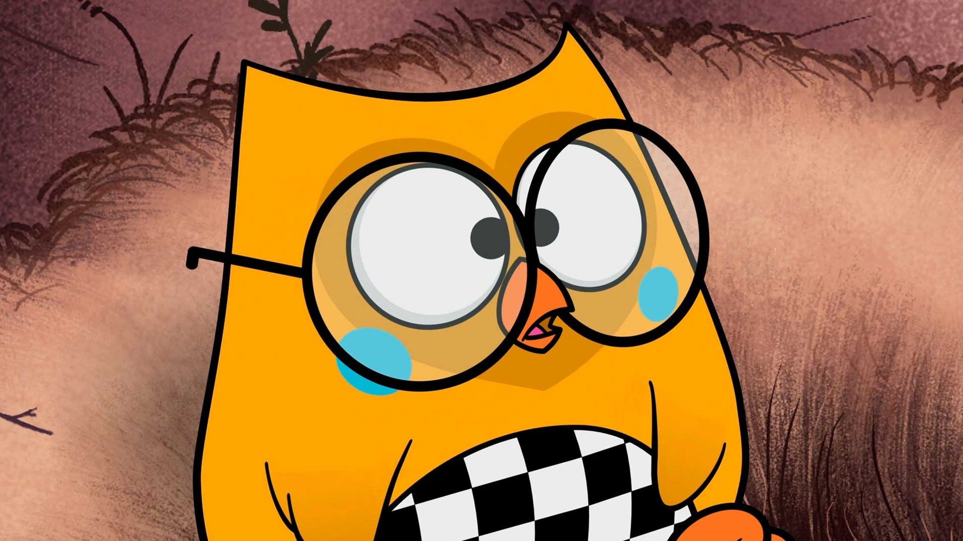 Bubu e as Corujinhas : O Grilo Cri-Cri