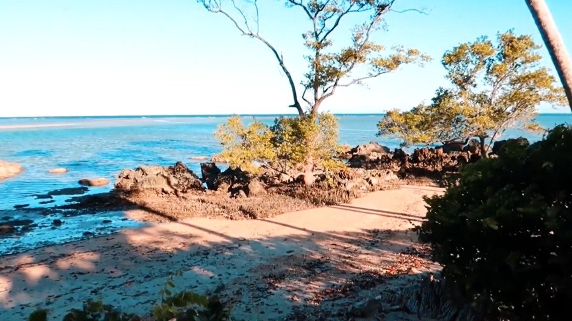 Errei : Boipeba