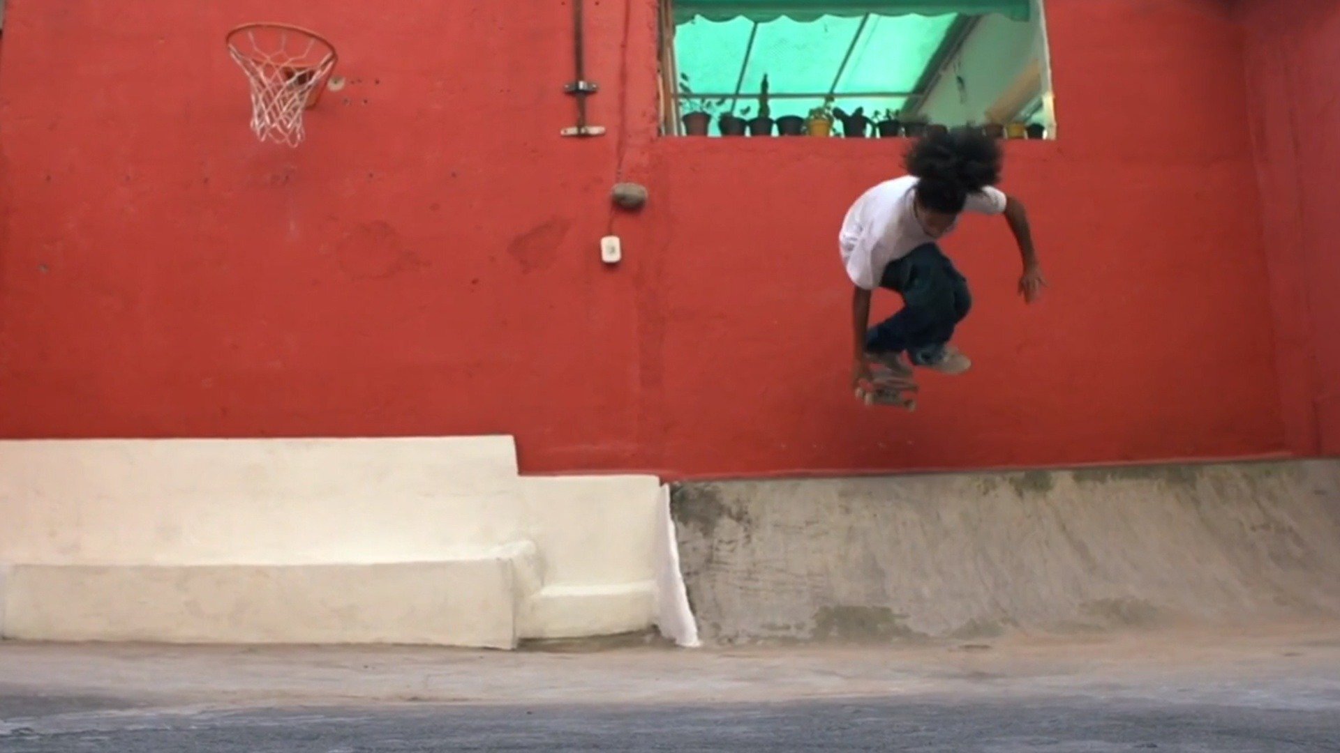 Skate no Quintal : Skate Todo Santo Dia!