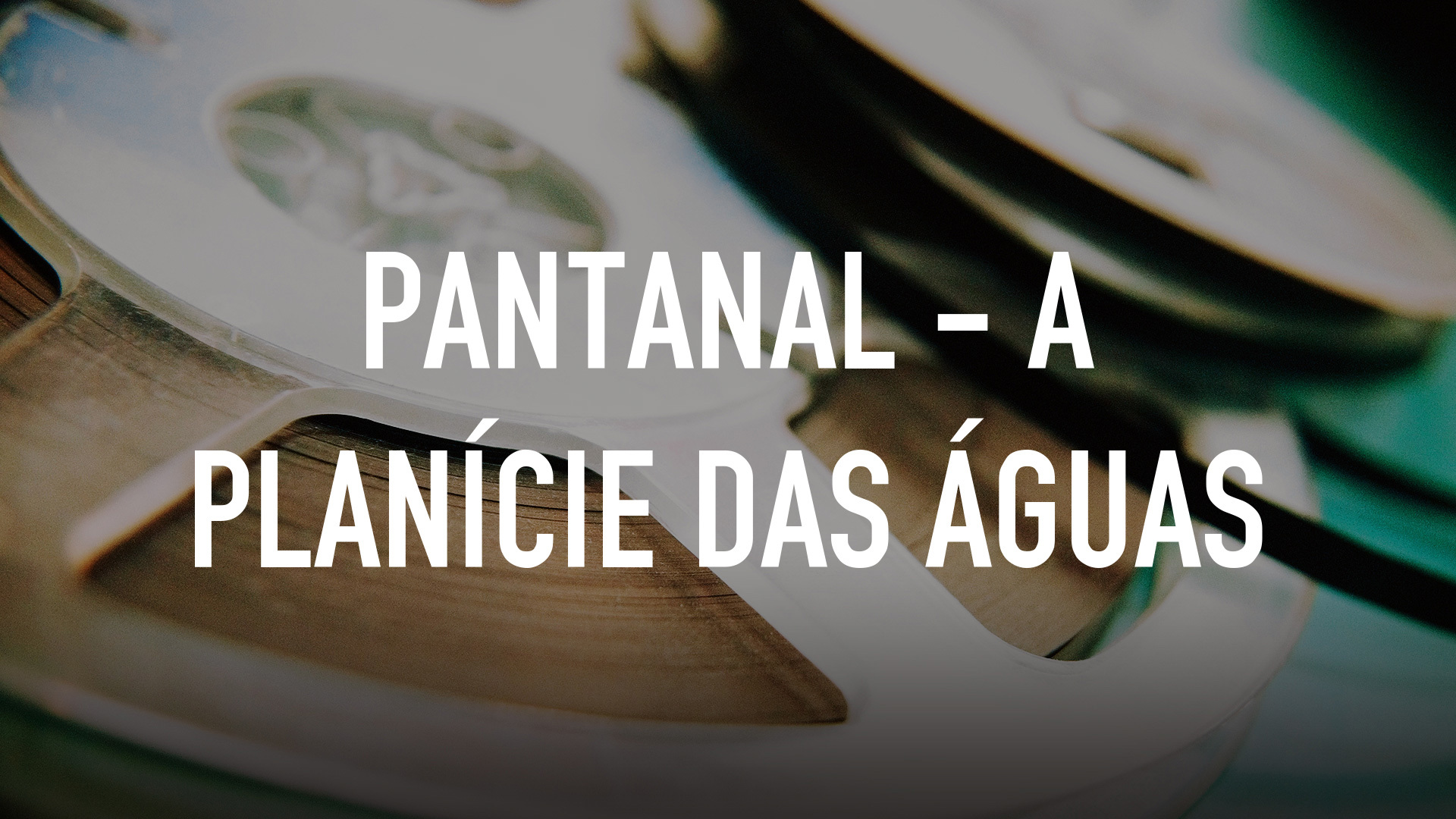 Pantanal - A Planície das Águas
