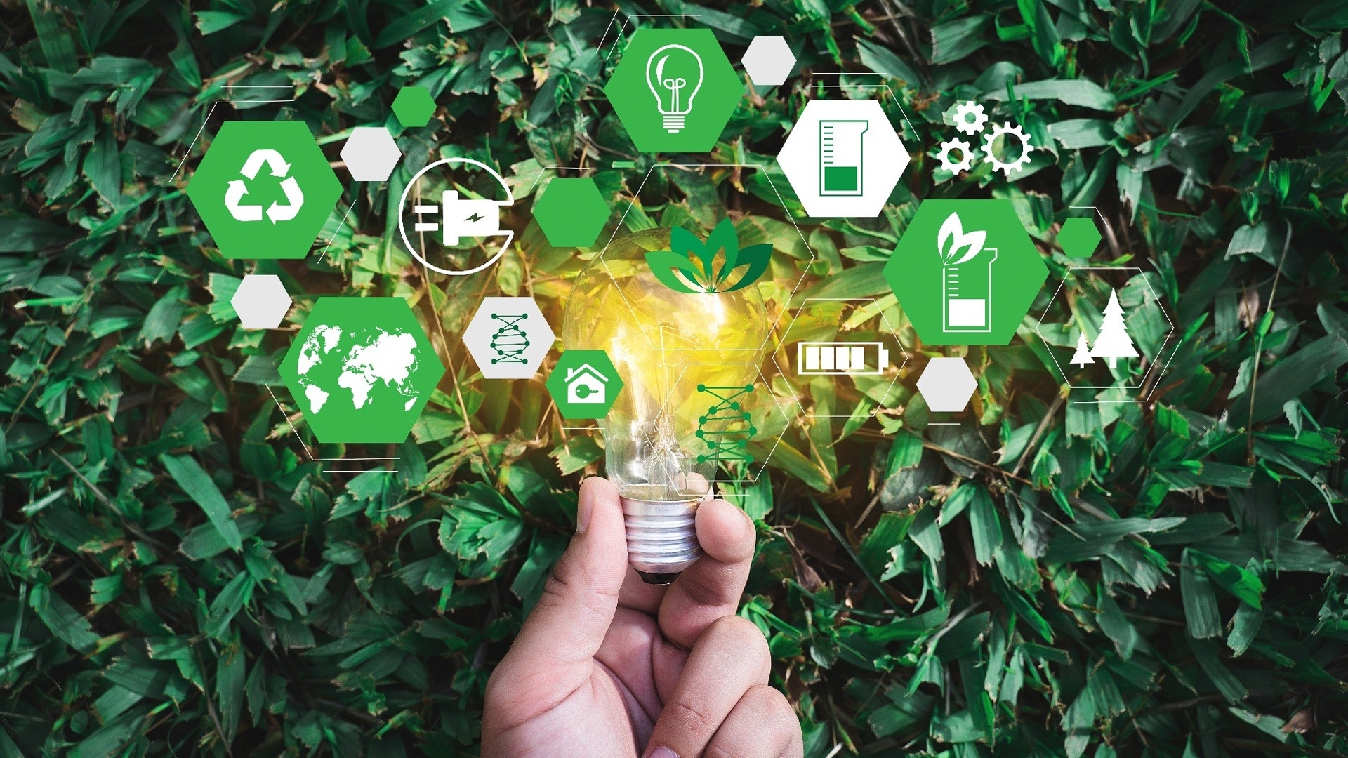 Meio Ambiente : Aquecimento Global