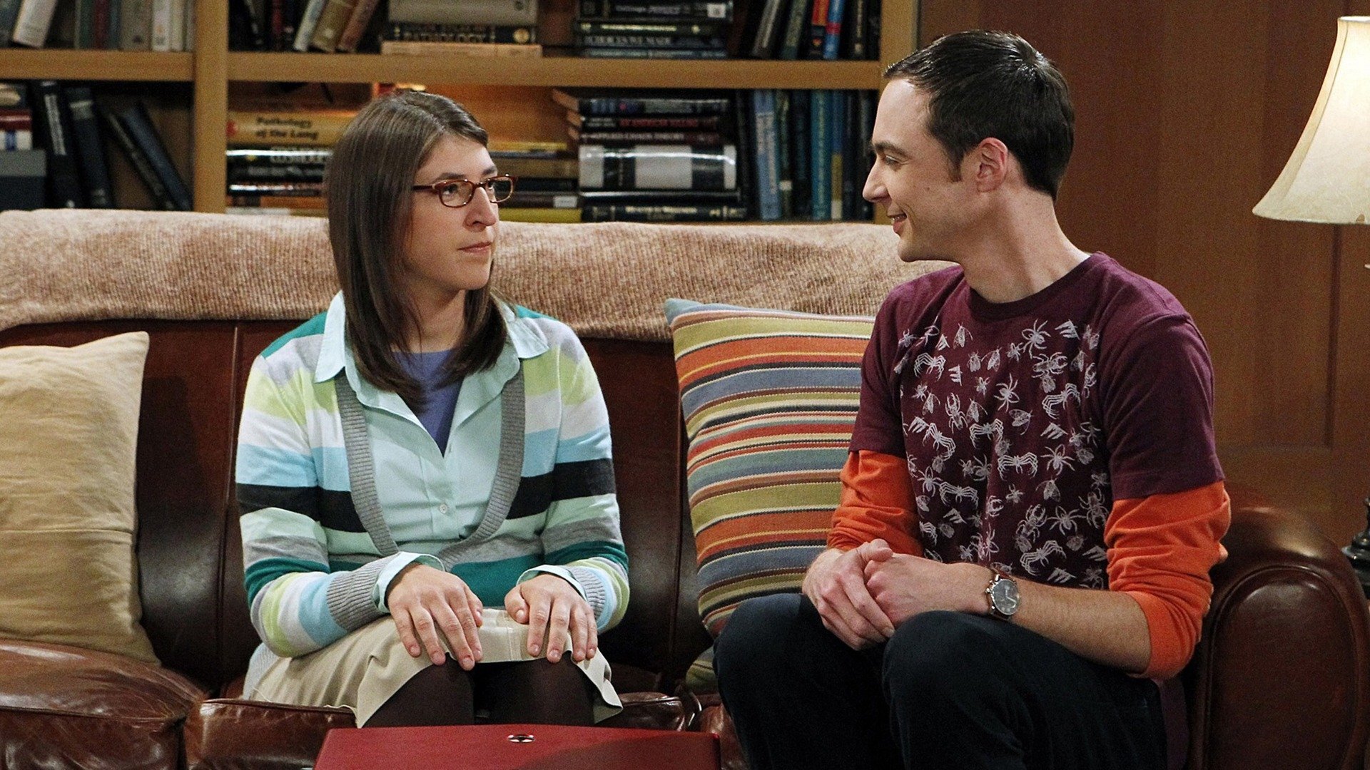 The Big Bang Theory : The Desperation Emanation