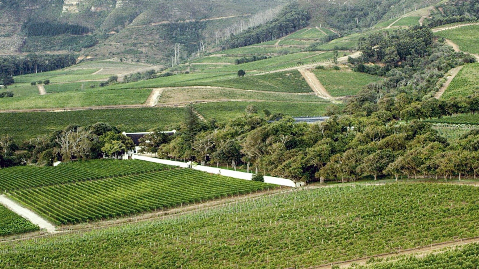 Vinícolas ao Redor do Mundo : África do Sul