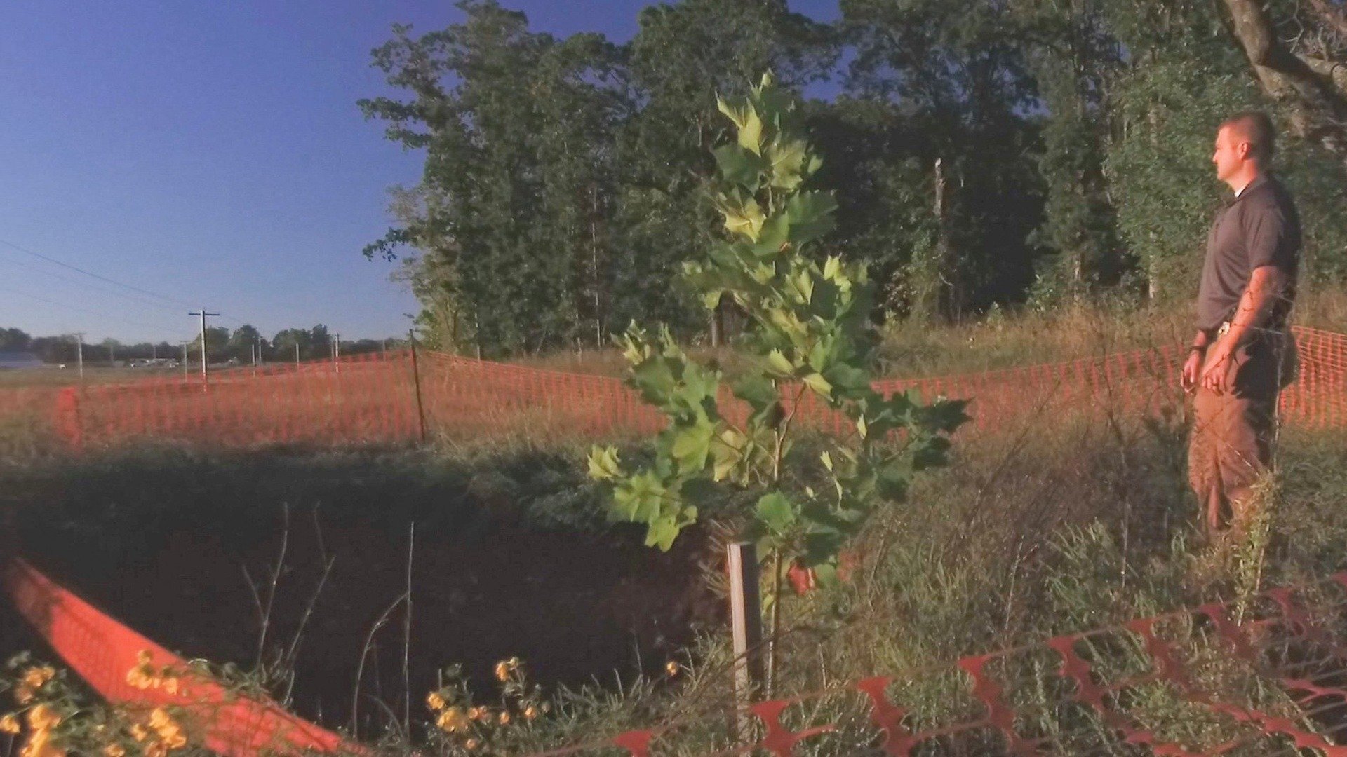 Cidade Pacata, Crime Cruel : A Verdade Mata