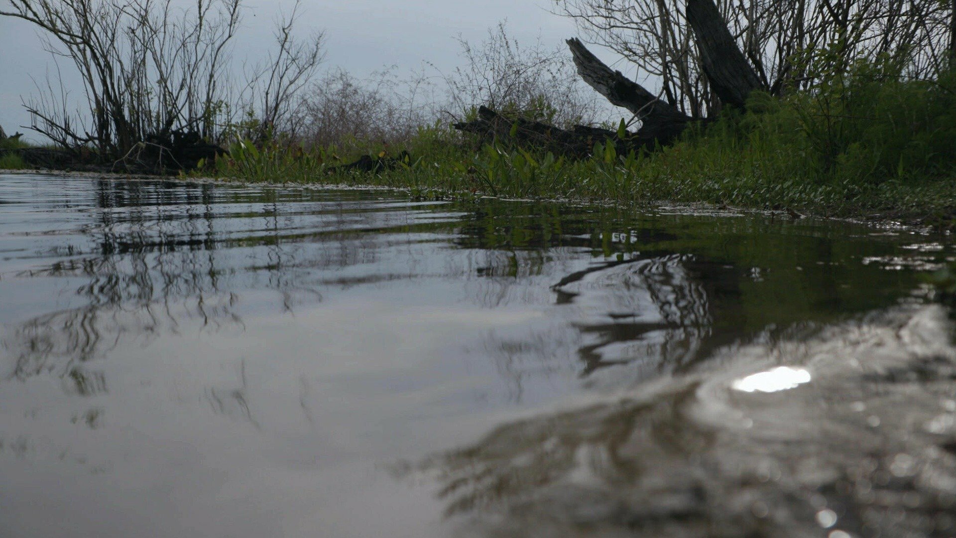 Casos Arquivados : A Voz no Lago
