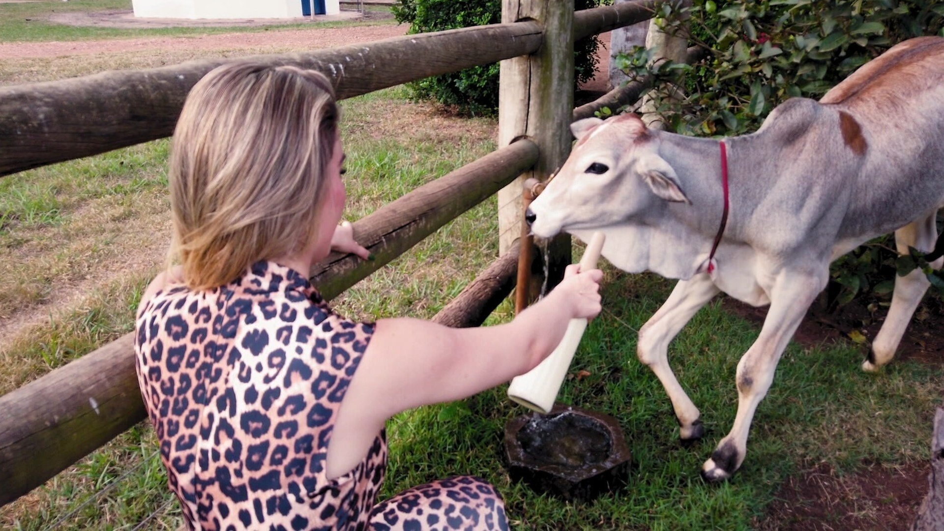 Hey Ho! : Food Safari no Pantanal