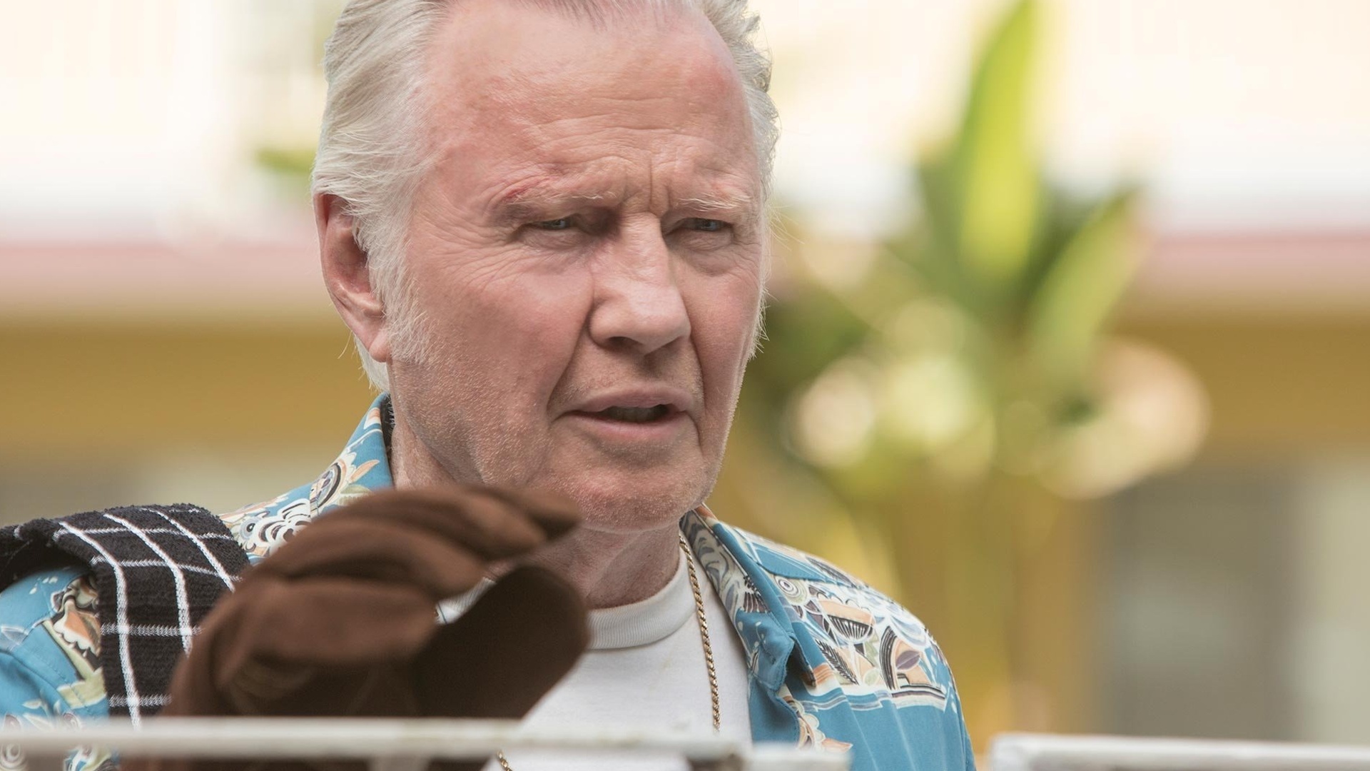 Ray Donovan : Aliados