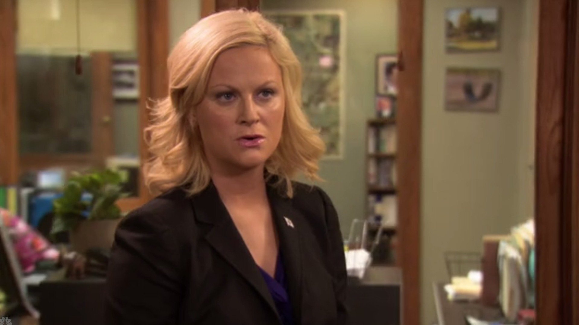 Parks and Recreation : Ron e Tammy