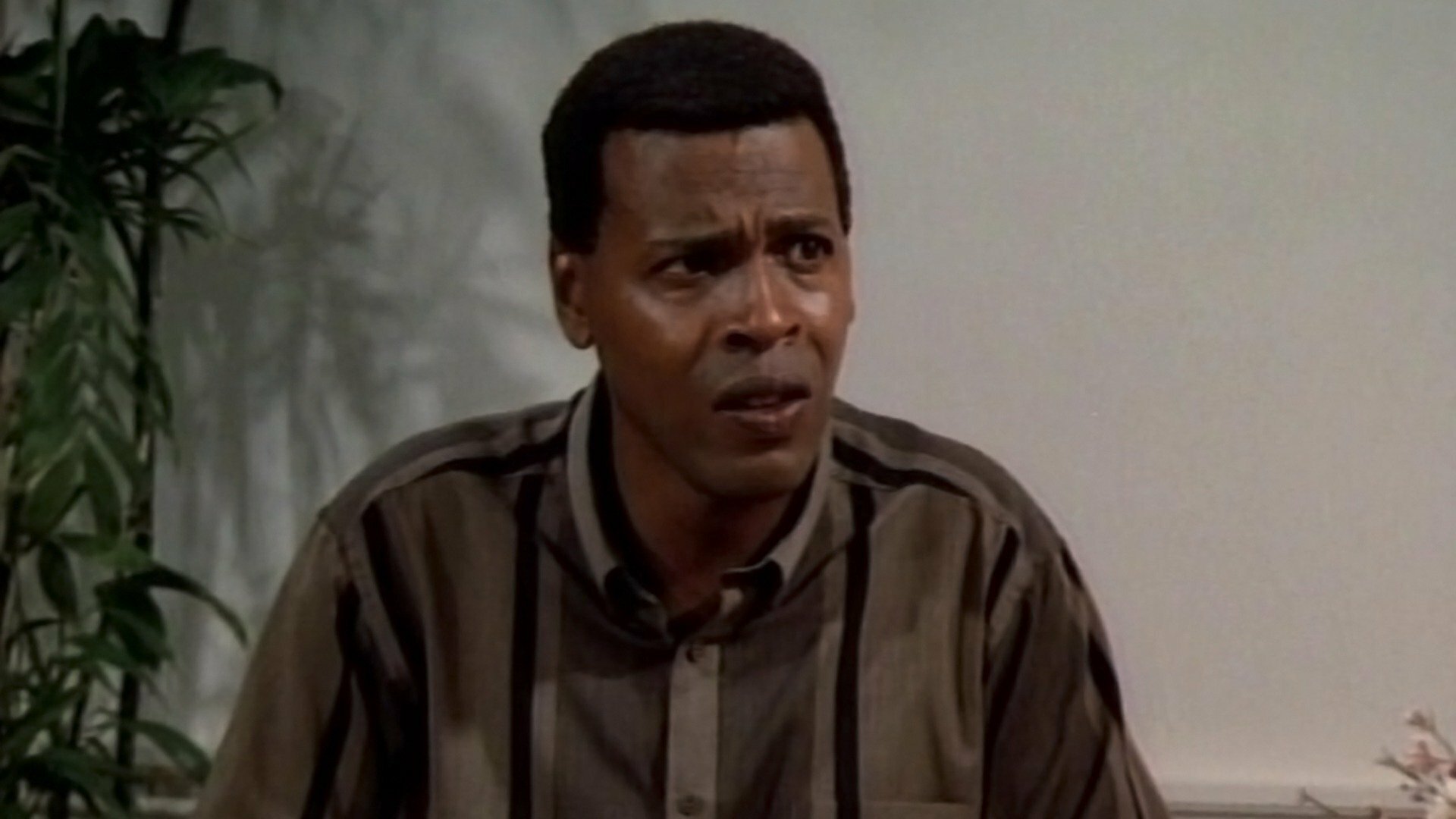 Designing Women : Great Expectations