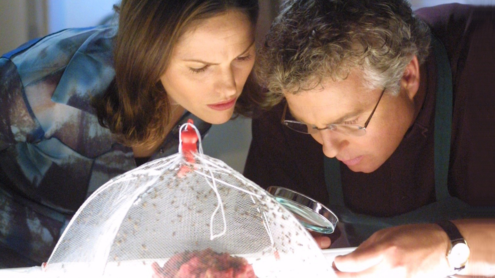 CSI Investigação Criminal : Ônus da Prova