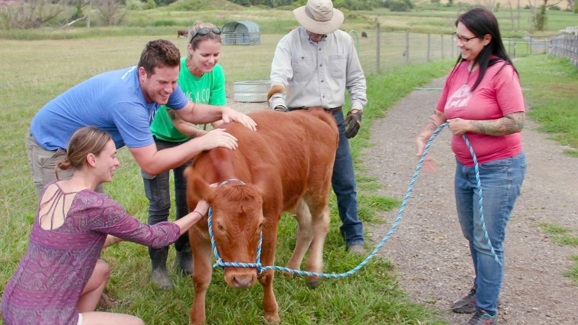 Santuário Animal : Vaca Aquática