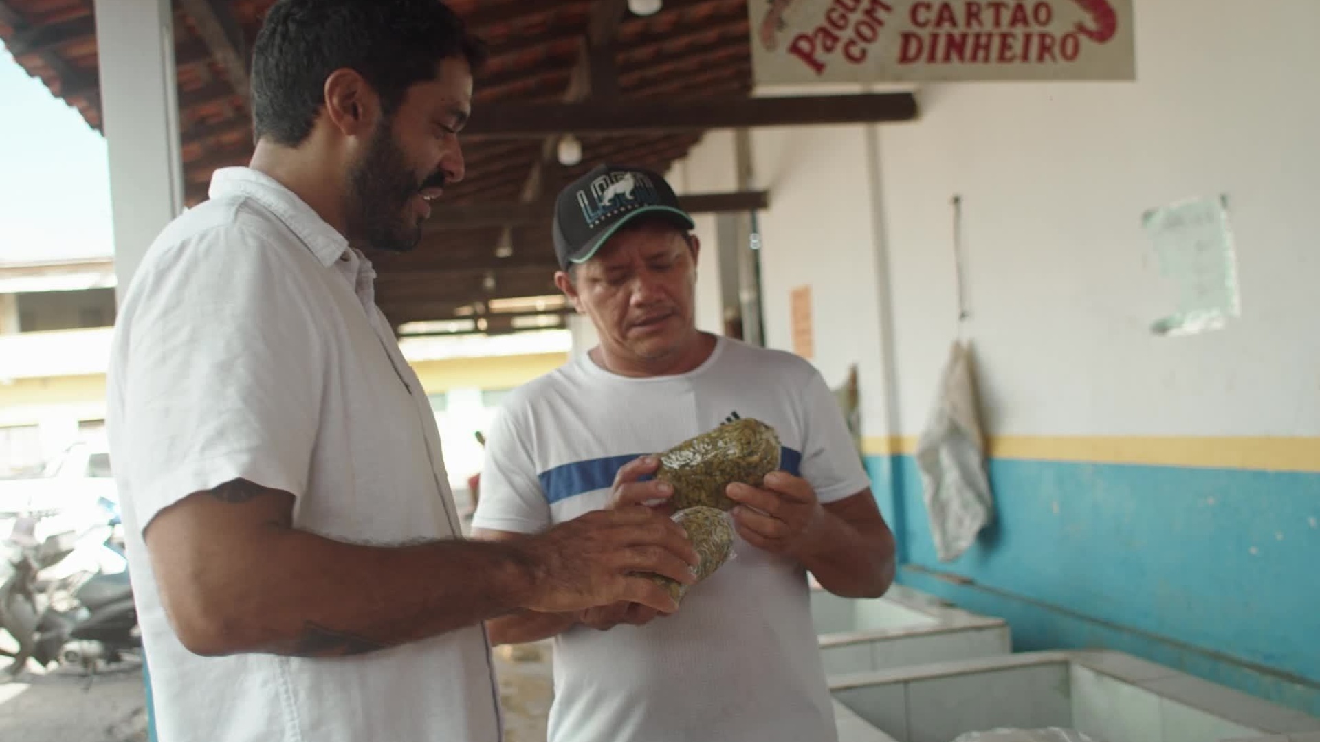 Sabores da Floresta : Mexilhão