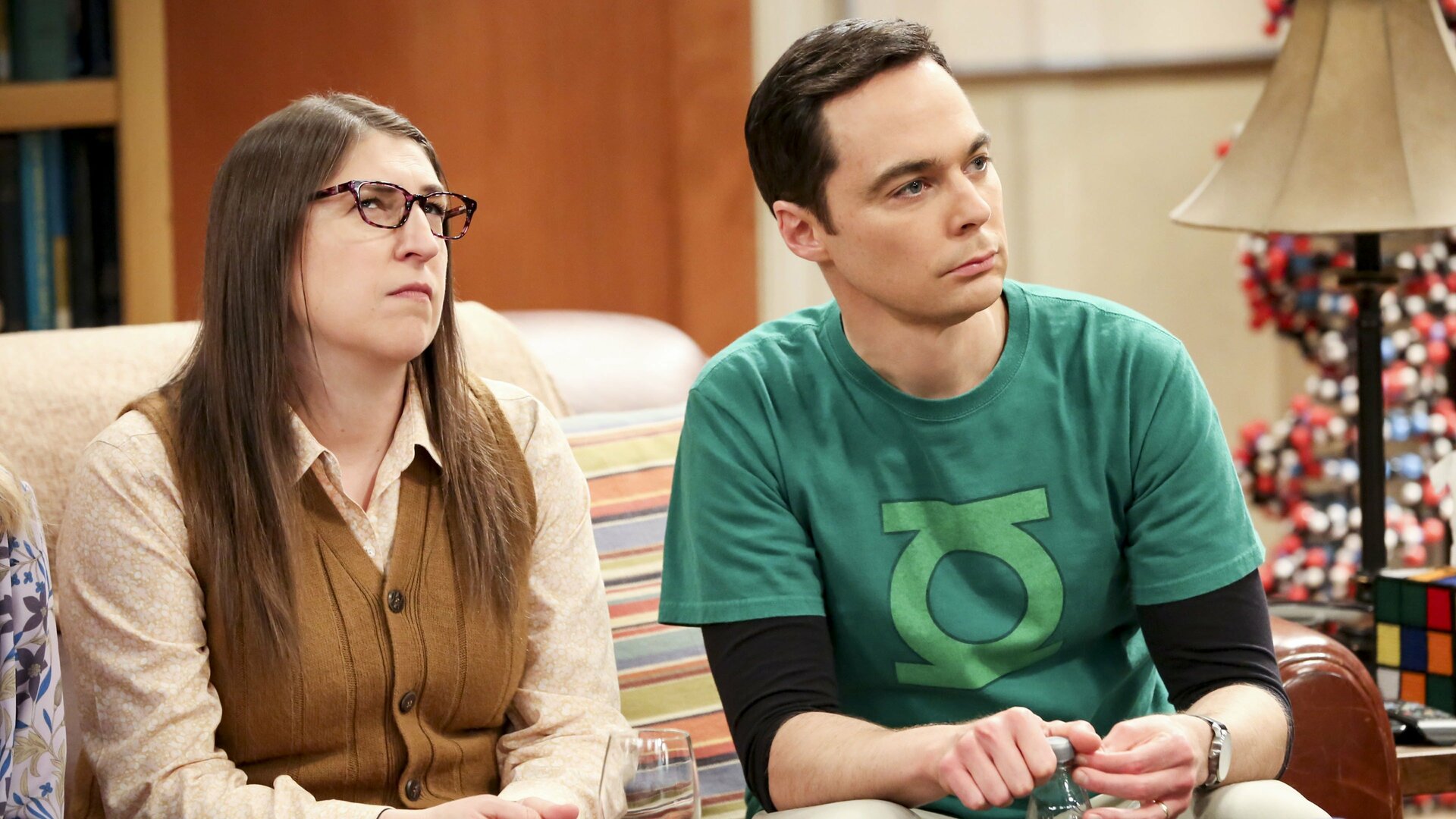 The Big Bang Theory : The Decision Reverberation