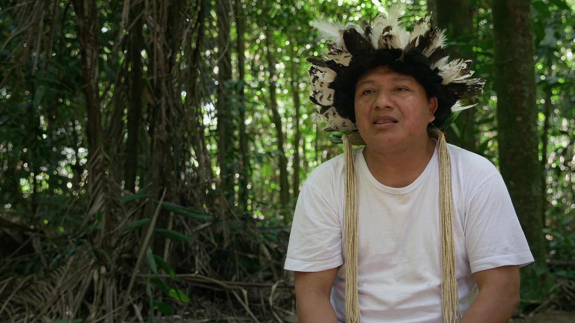 Amazônia, Arqueologia da Floresta : Berço Tupi