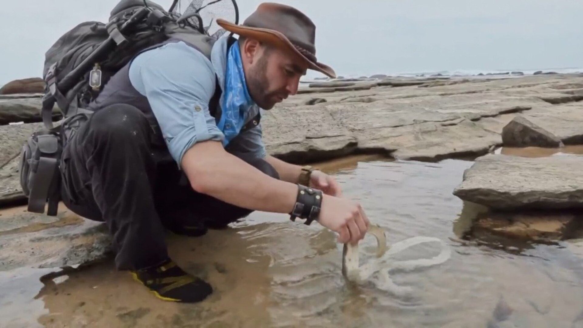 Encontro Selvagem com Coyote Peterson : Piscinas Naturais Mortiferas