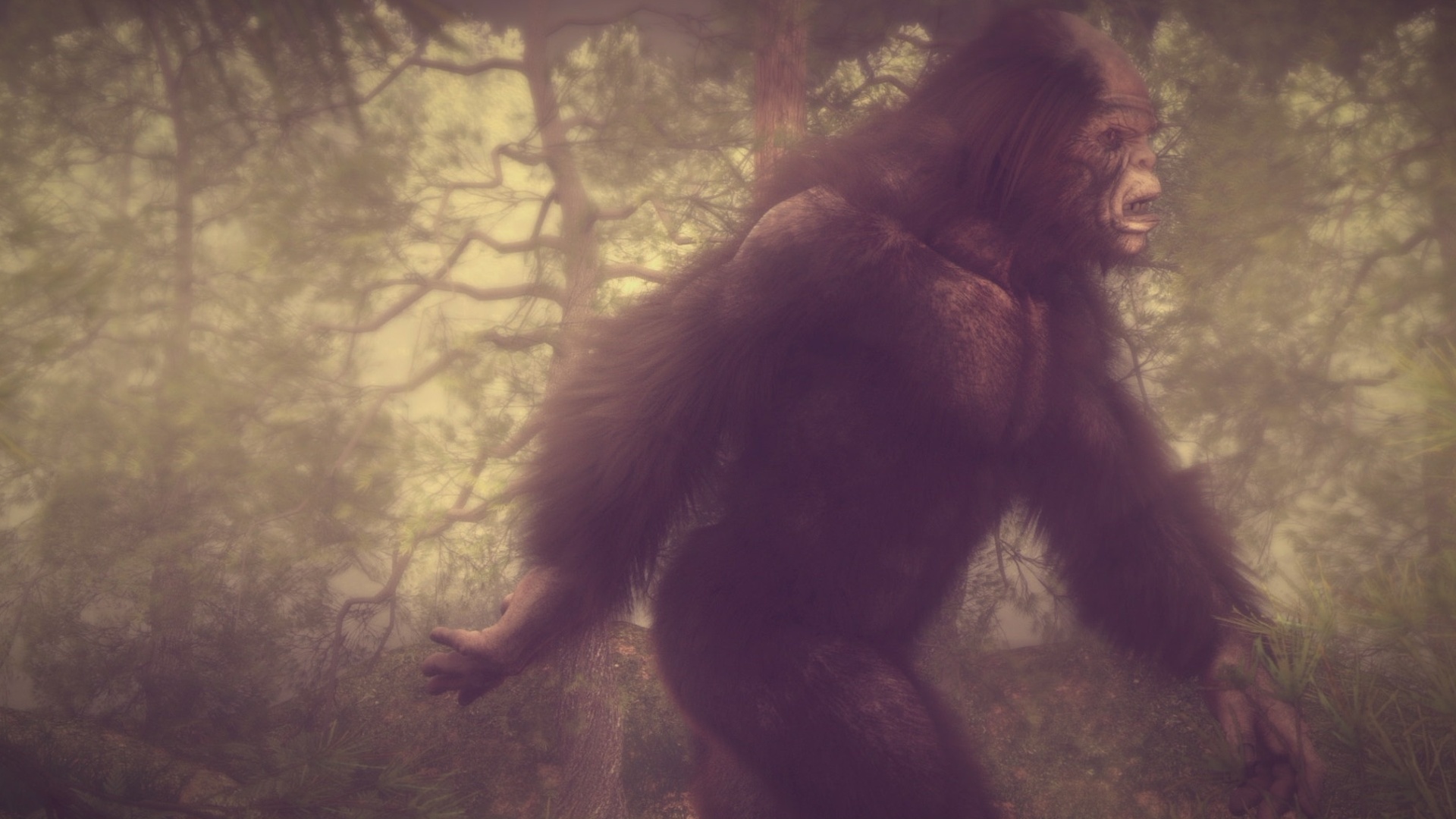 Mistérios Revelados : Monstro do Pântano, Avistamento...