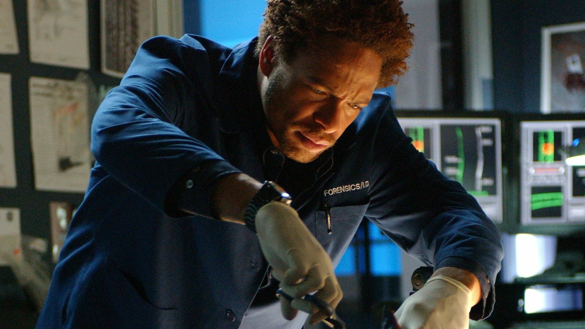 CSI Investigação Criminal : Amigo Urso