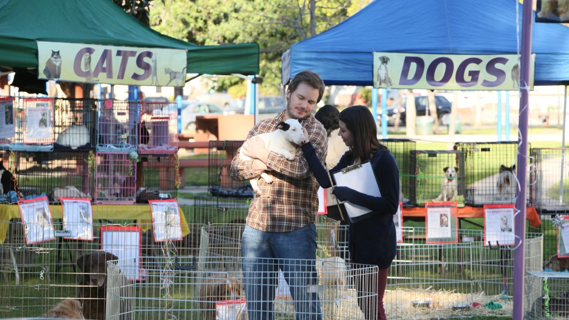 Parks and Recreation : Munição Viva