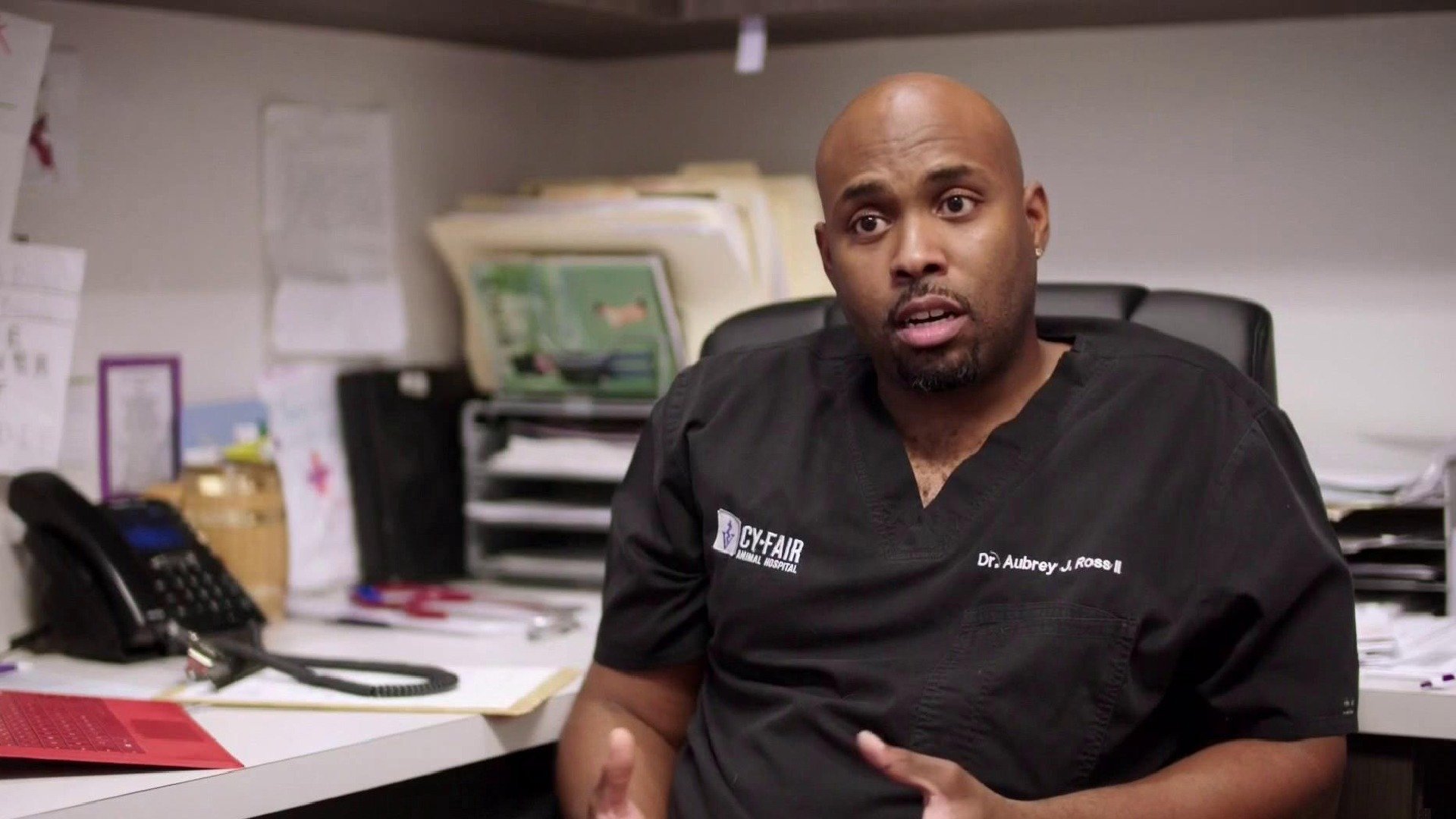 Veterinários do Texas : Os Encantadores de Porcos