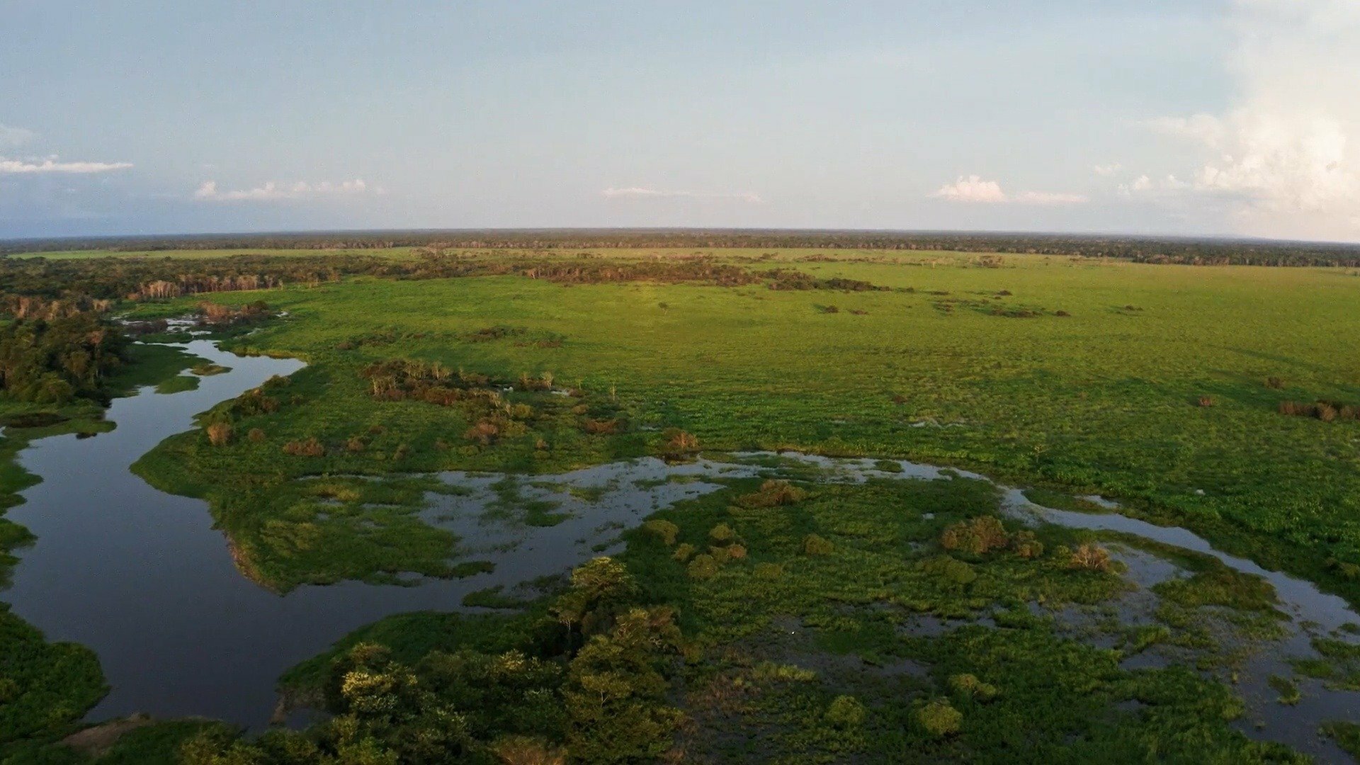 Amazônia, Arqueologia da Floresta : Conchas e Ossos