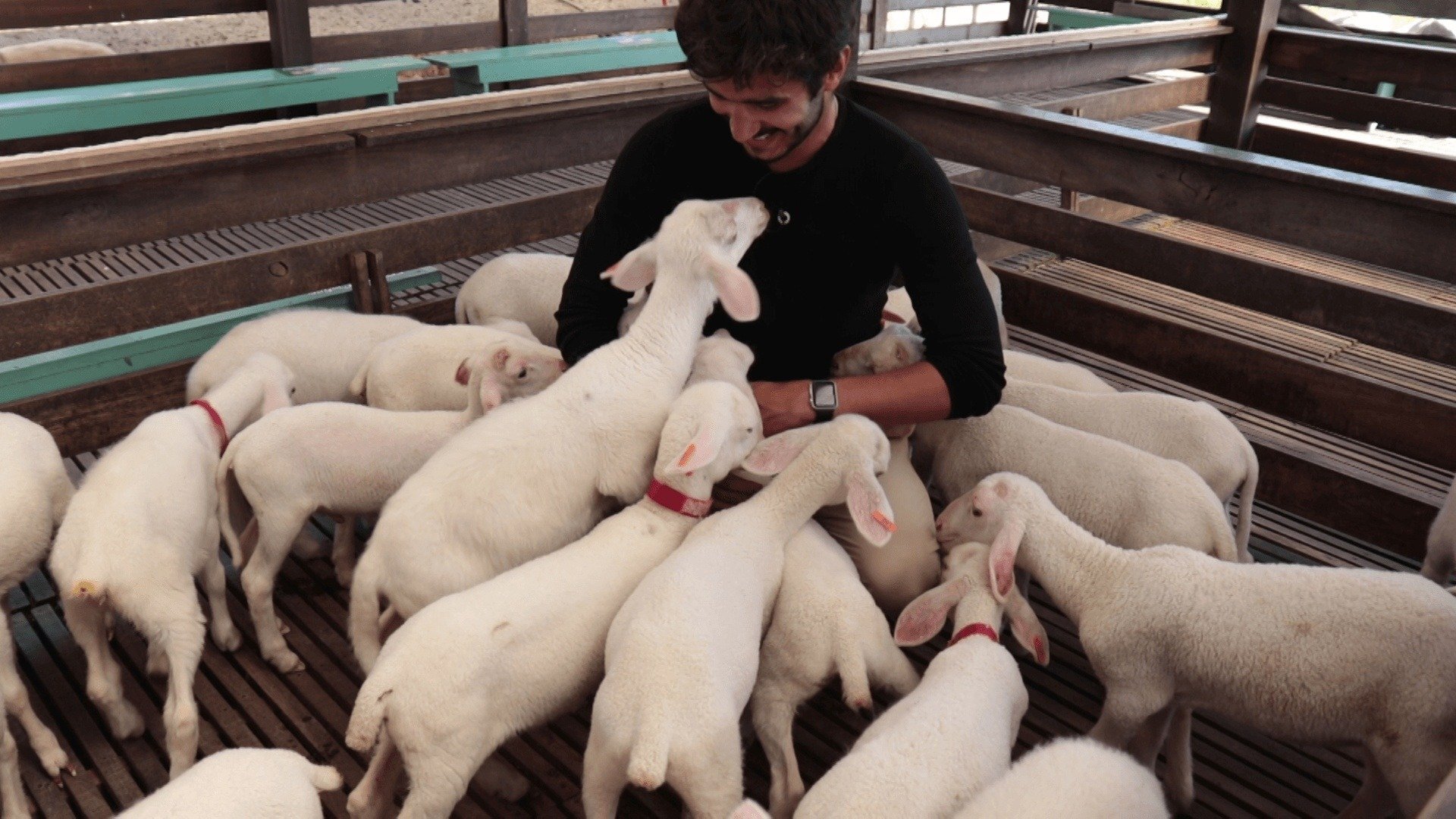 Meu Pedaço do Brasil : Bento Gonçalves