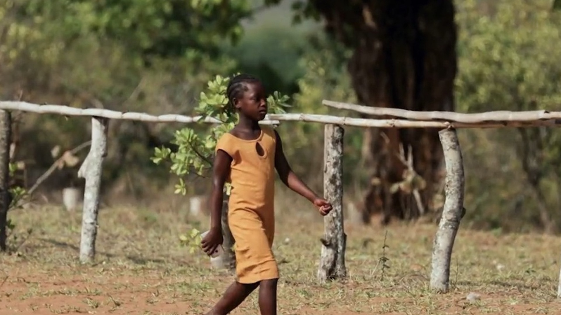 África 360° : Próxima Parada: Moçambique