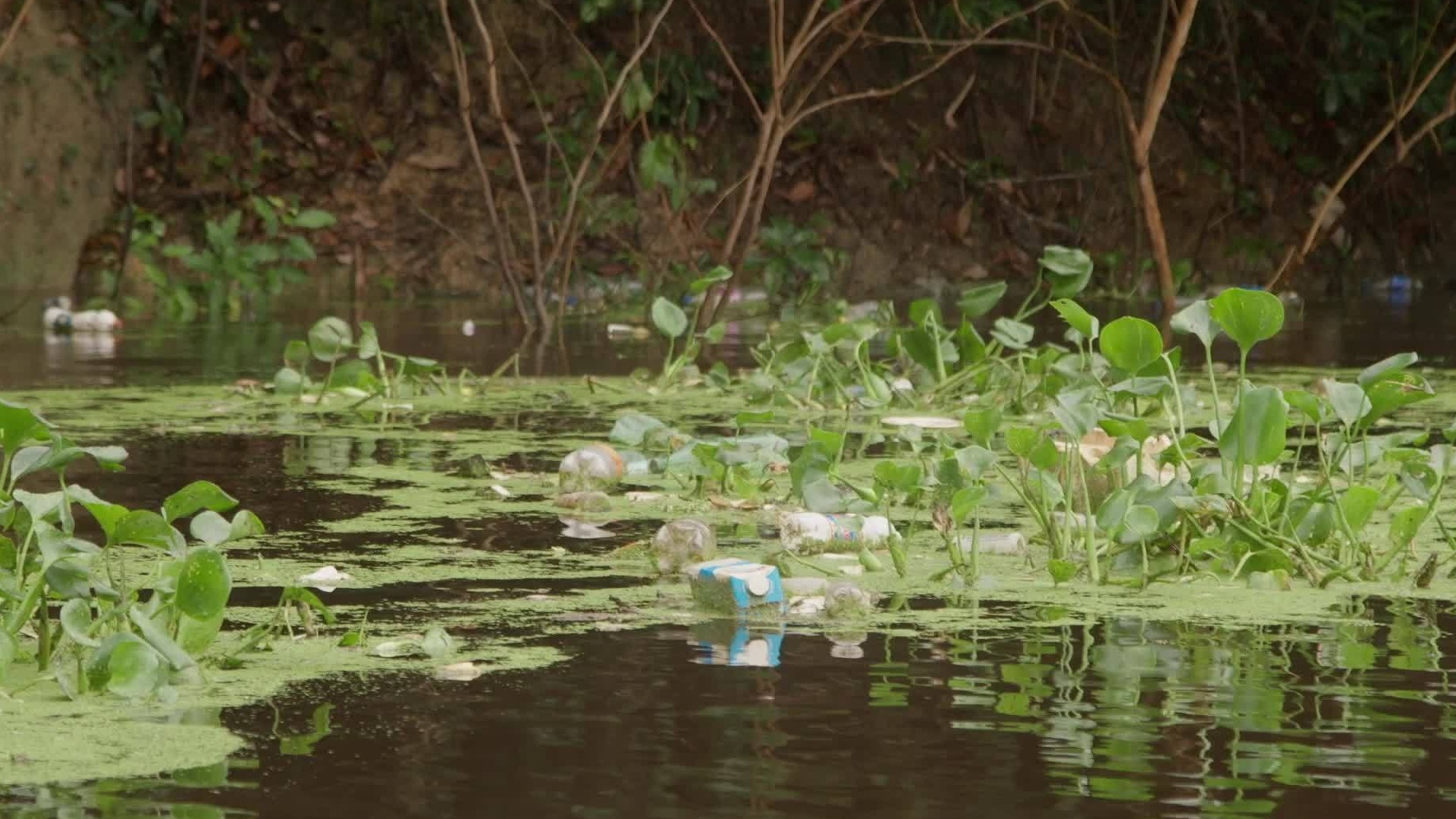 Da Nascente à Foz : Alto Rio Amazonas