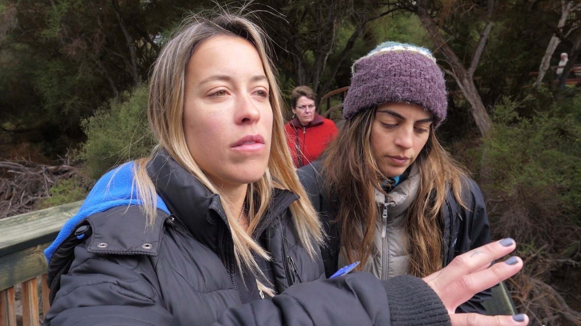 Trilhas e Travessias : A Experiência Maori