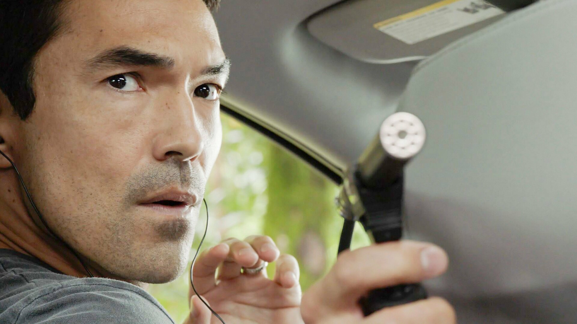 Hawaii Five-0 : He Puko'a Kani 'Aina